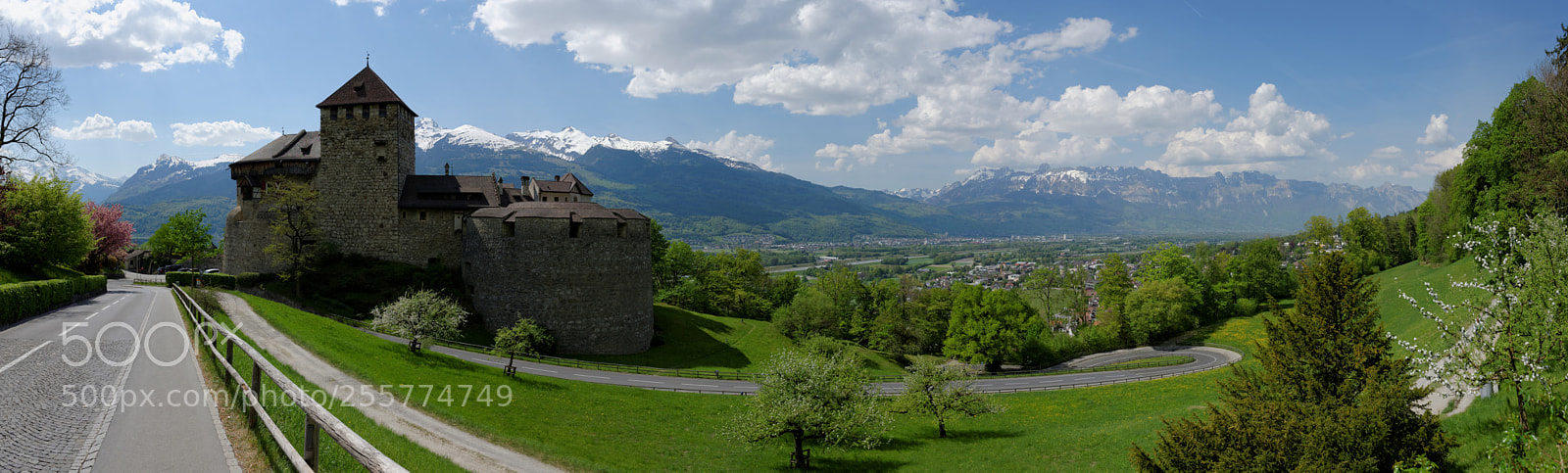 Nikon D600 sample photo. Lichtenstein castle photography