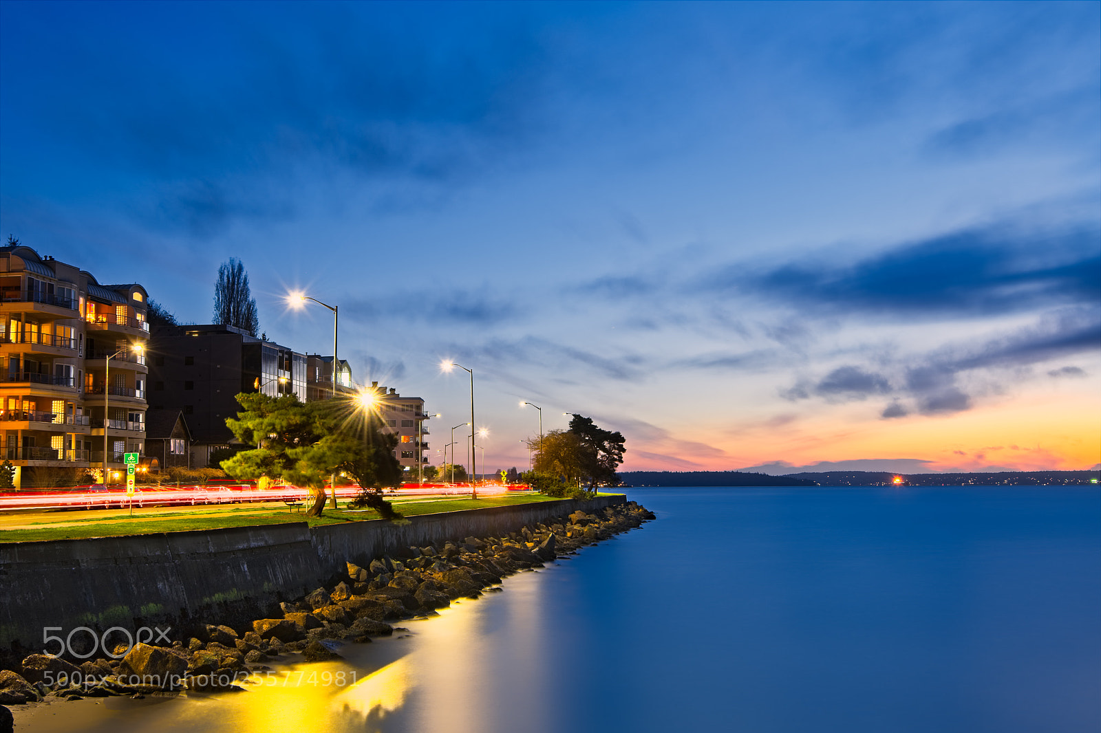Nikon D500 sample photo. Alki point  photography