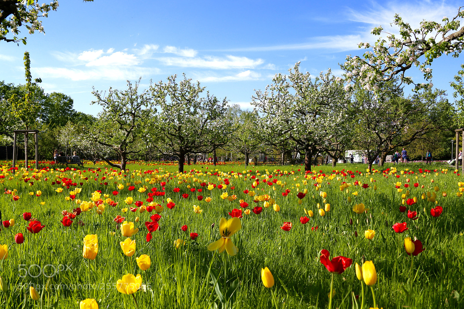 Canon EOS 6D sample photo. Britzer garten photography