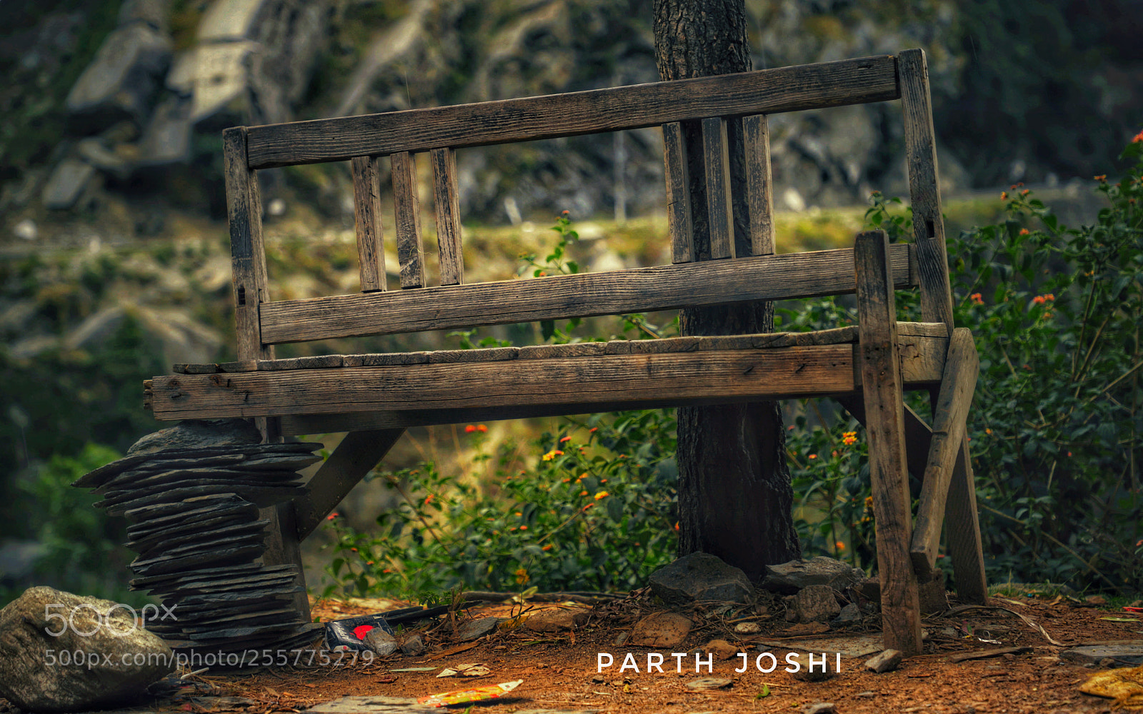 Canon EOS 6D Mark II sample photo. Untitled photography