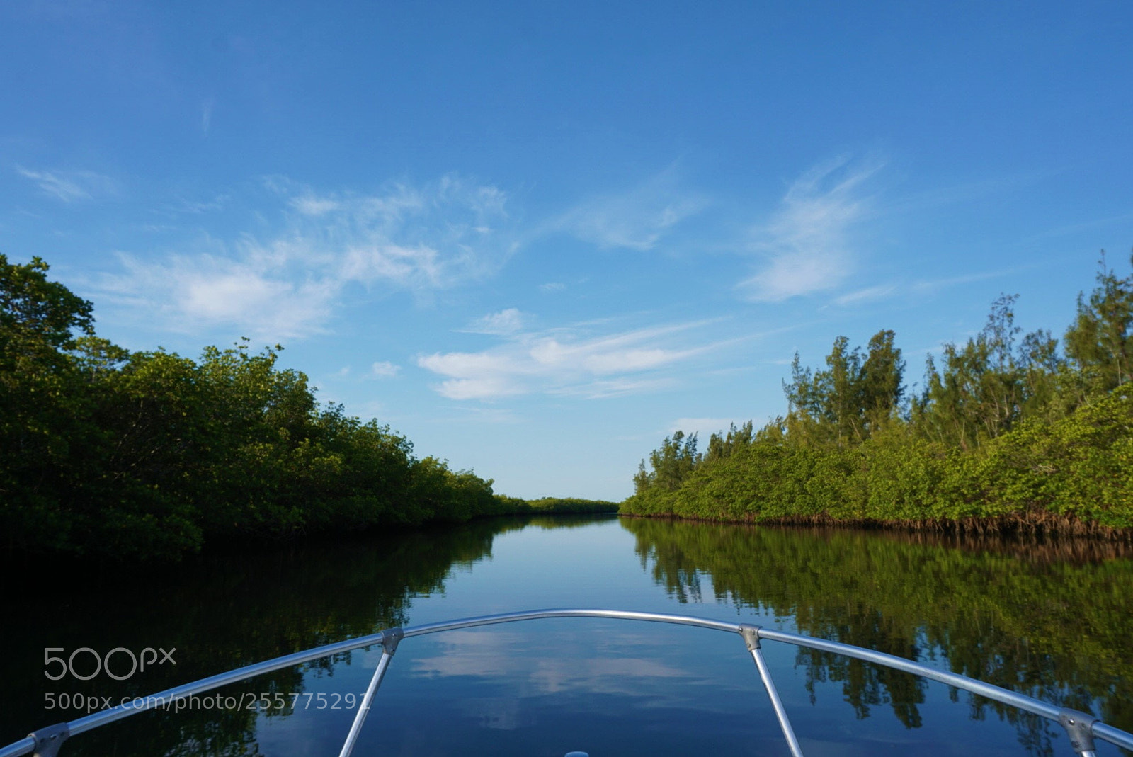Sony a6000 sample photo. Nature's serenity photography
