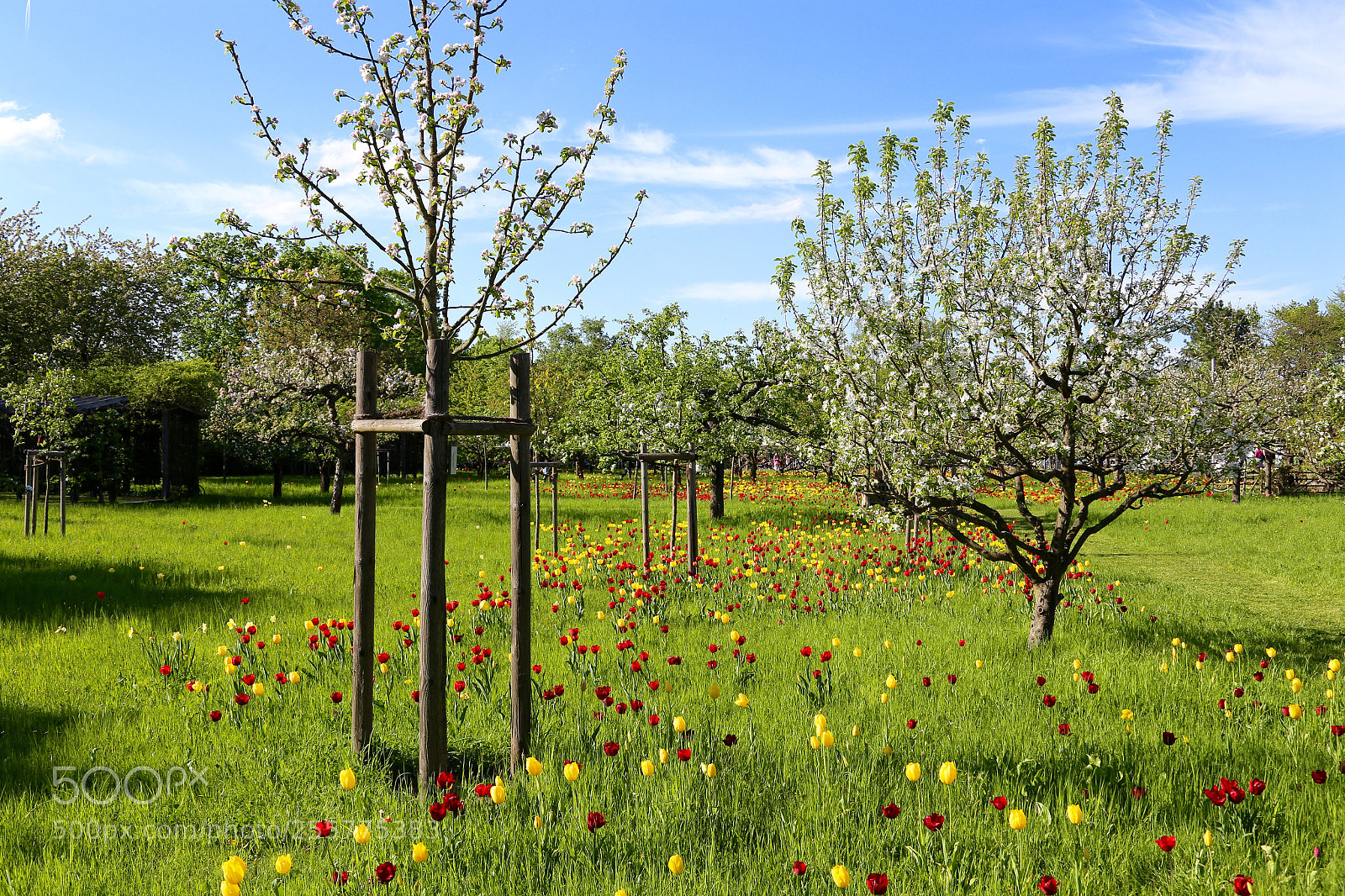 Canon EOS 6D sample photo. Britzer garten photography