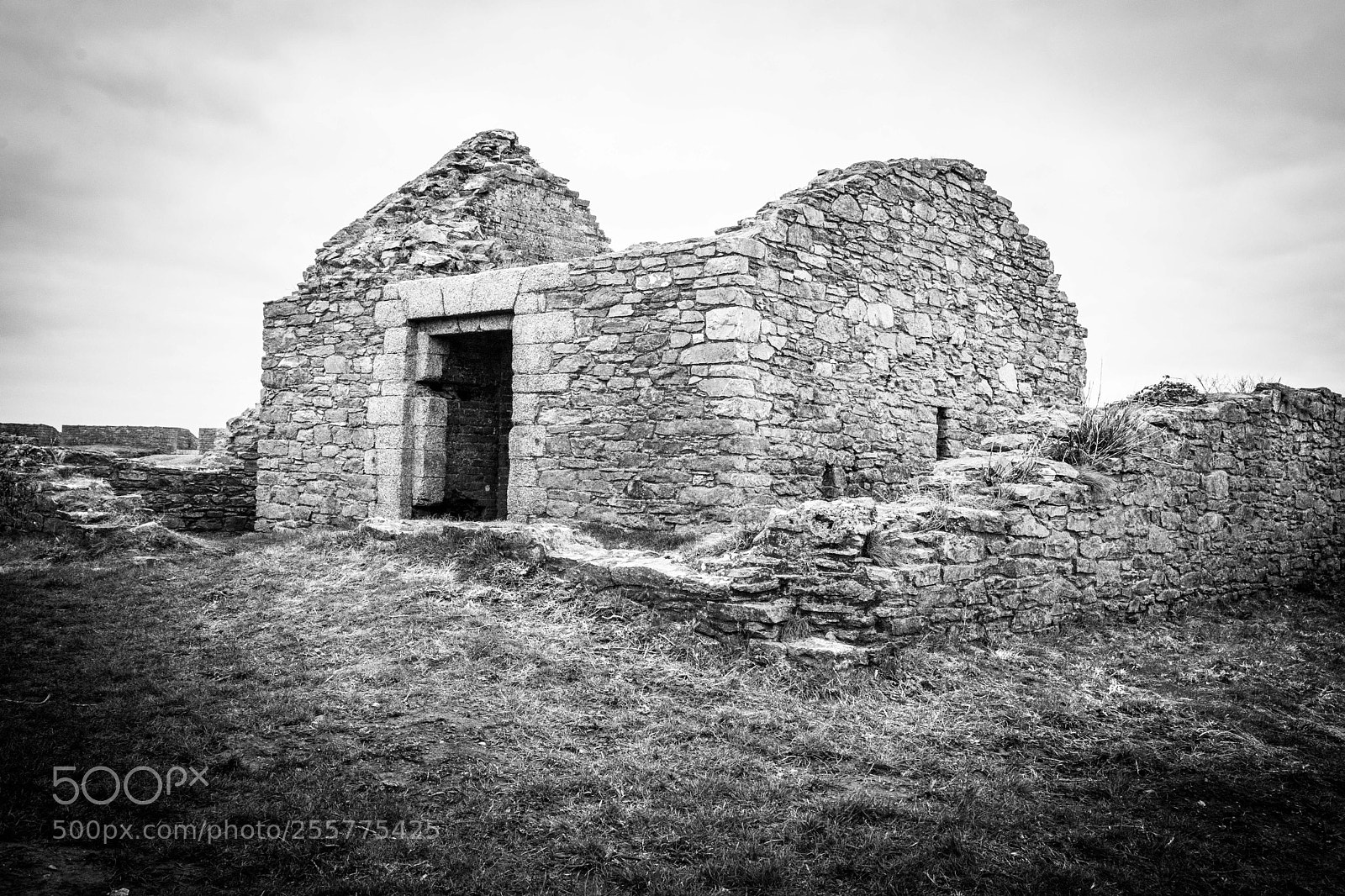 Nikon D7100 sample photo. Still standing ... photography