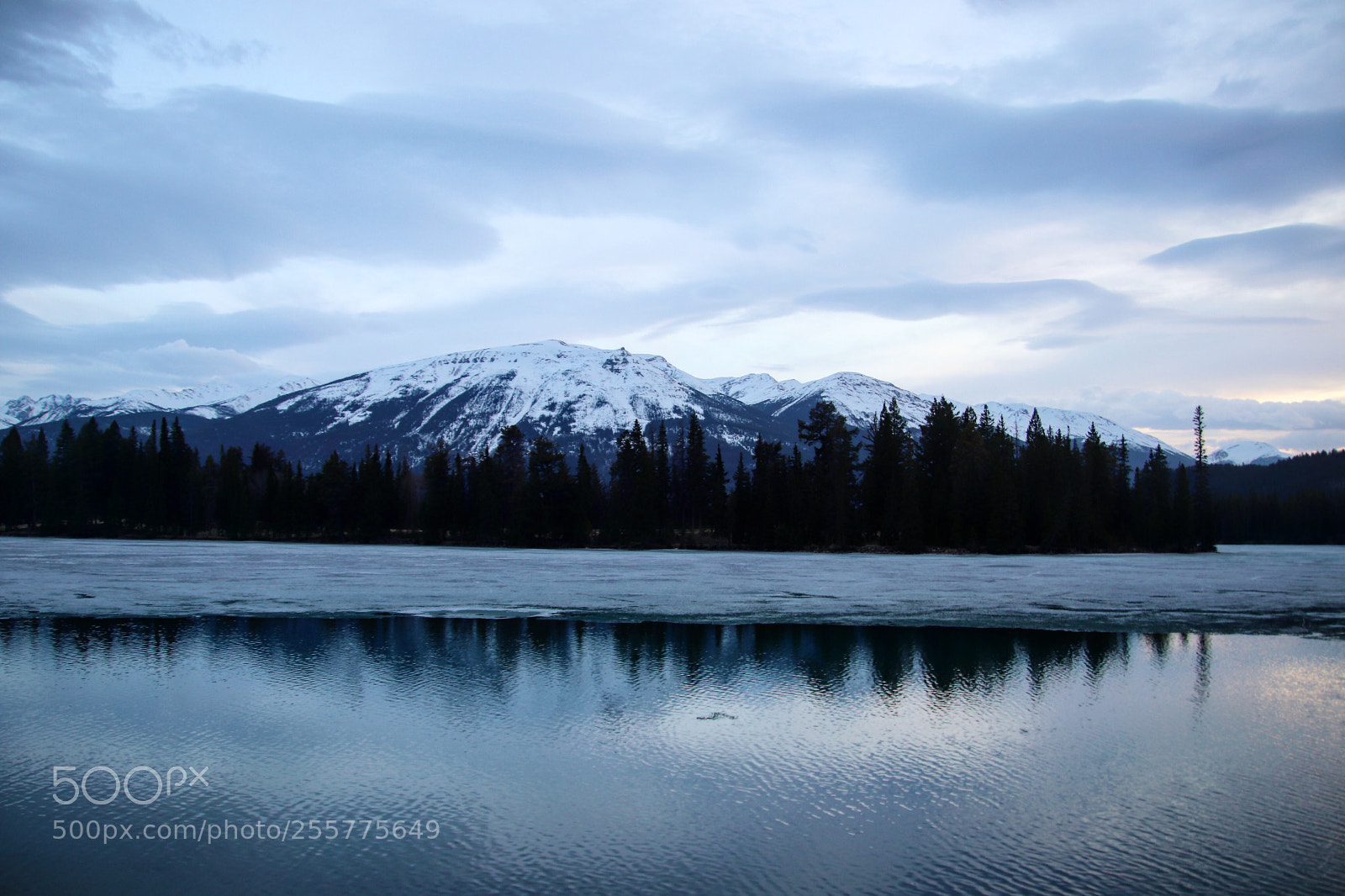 Canon EOS 800D (EOS Rebel T7i / EOS Kiss X9i) sample photo. The majestic rockies and photography