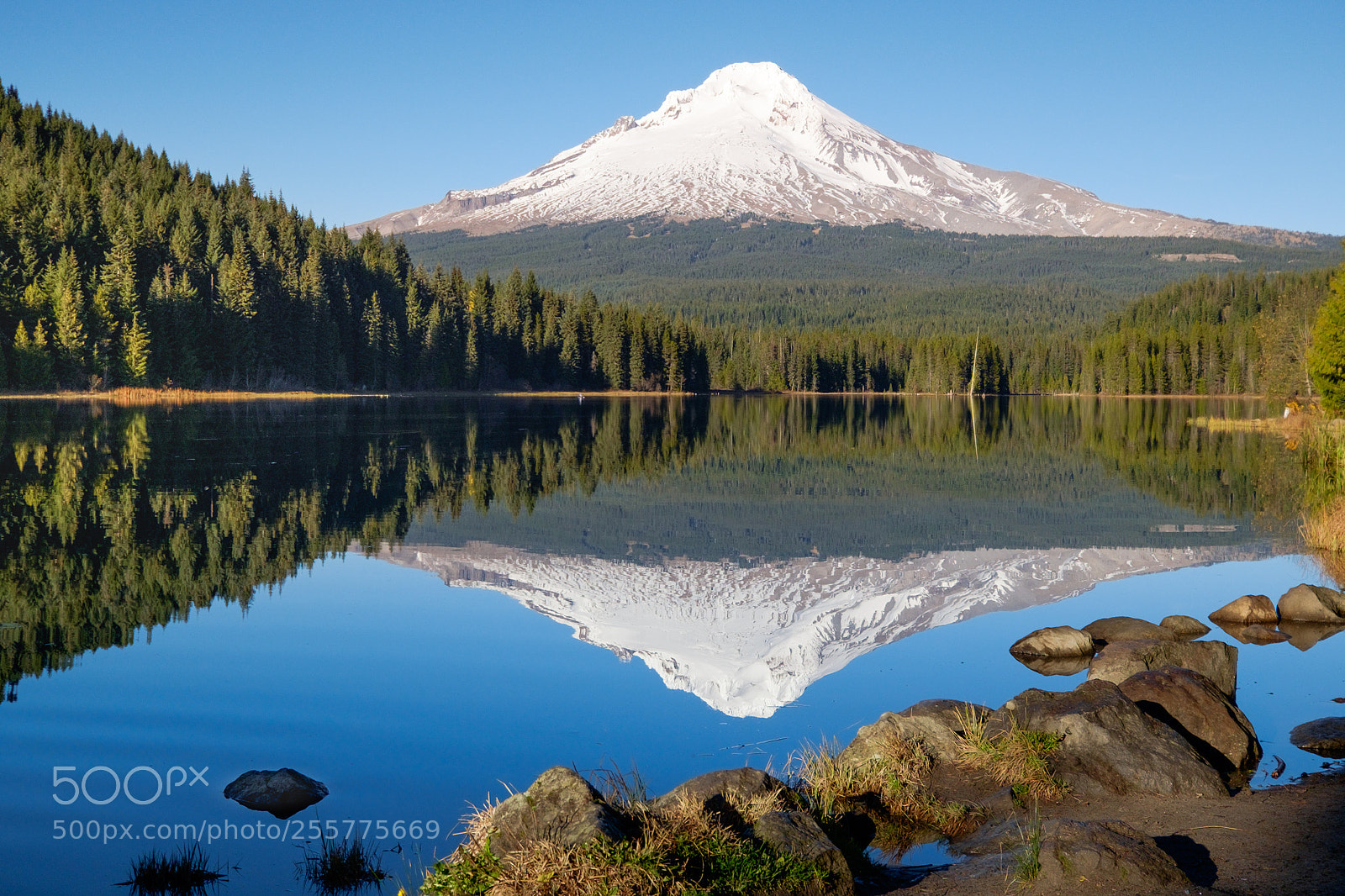 Fujifilm X-T1 sample photo. Mount hood in trillium photography