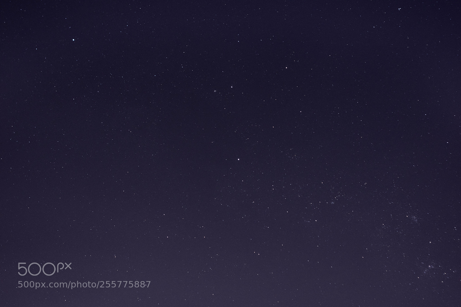 Nikon D3300 sample photo. Stars photography
