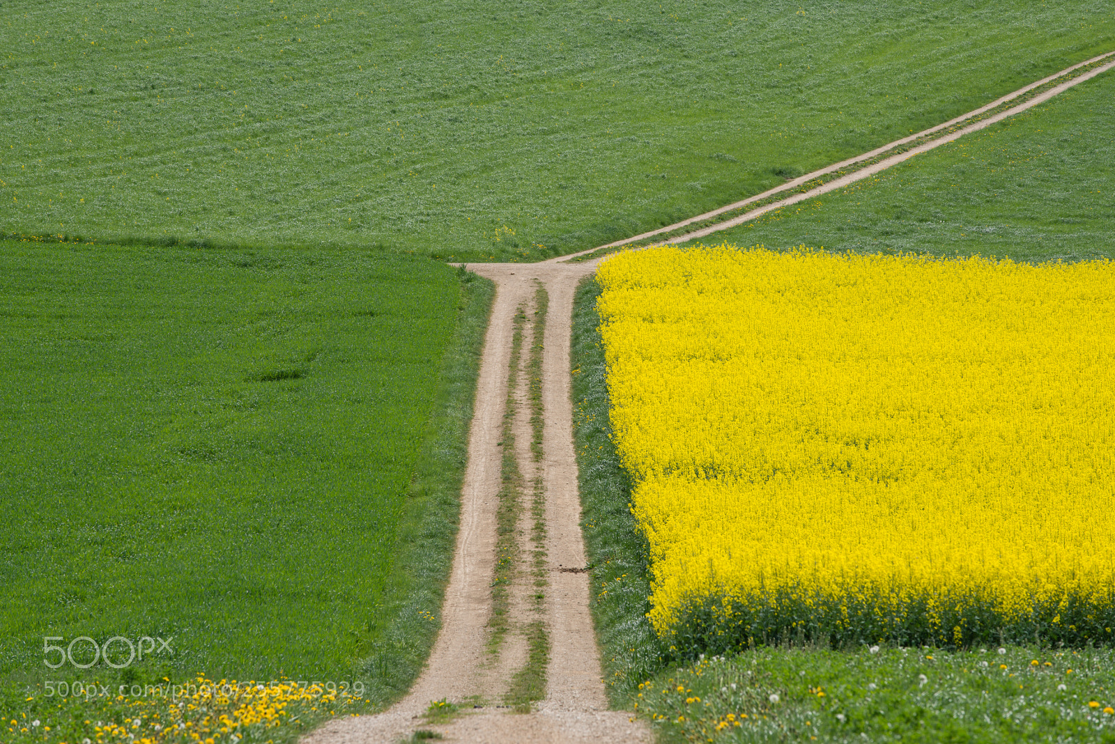 Nikon D800 sample photo. Crossroad photography