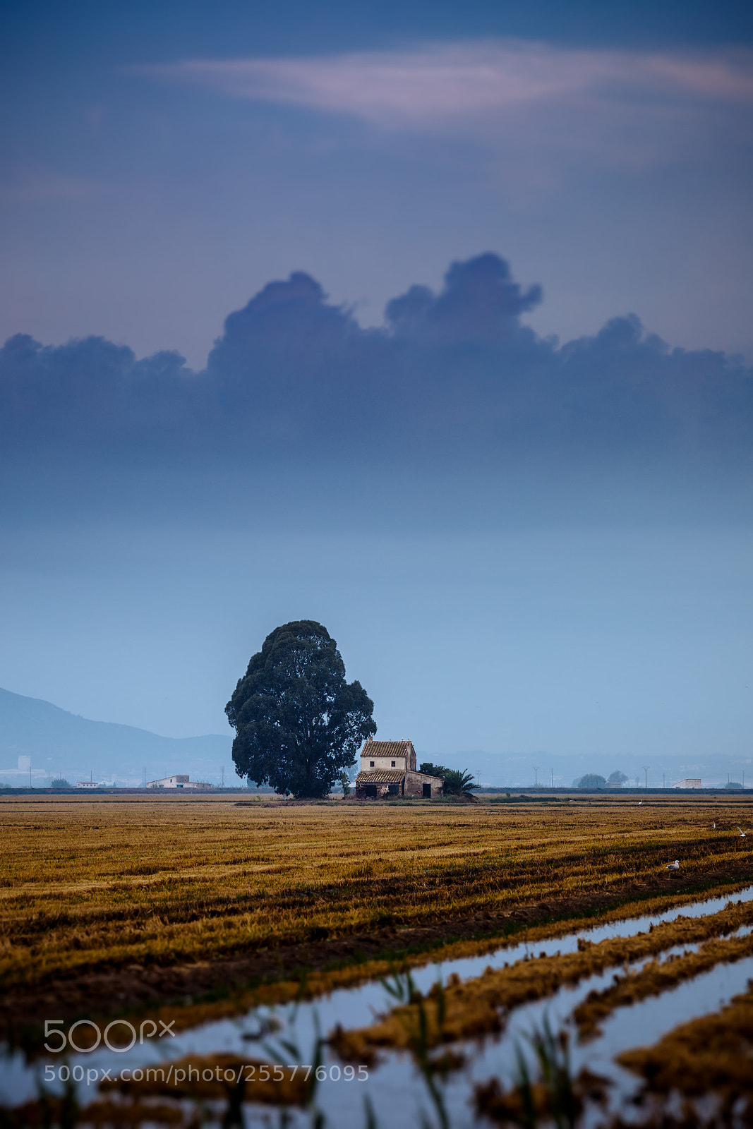 Canon EOS 5D Mark IV sample photo. Country house at sunrise photography