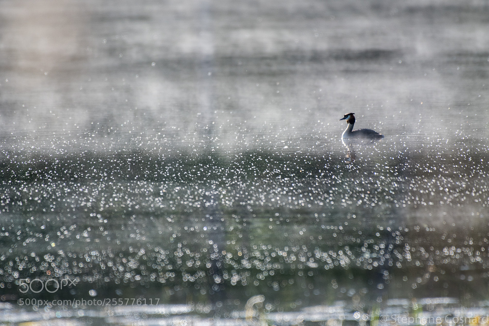 Nikon D500 sample photo. Morning light on the photography
