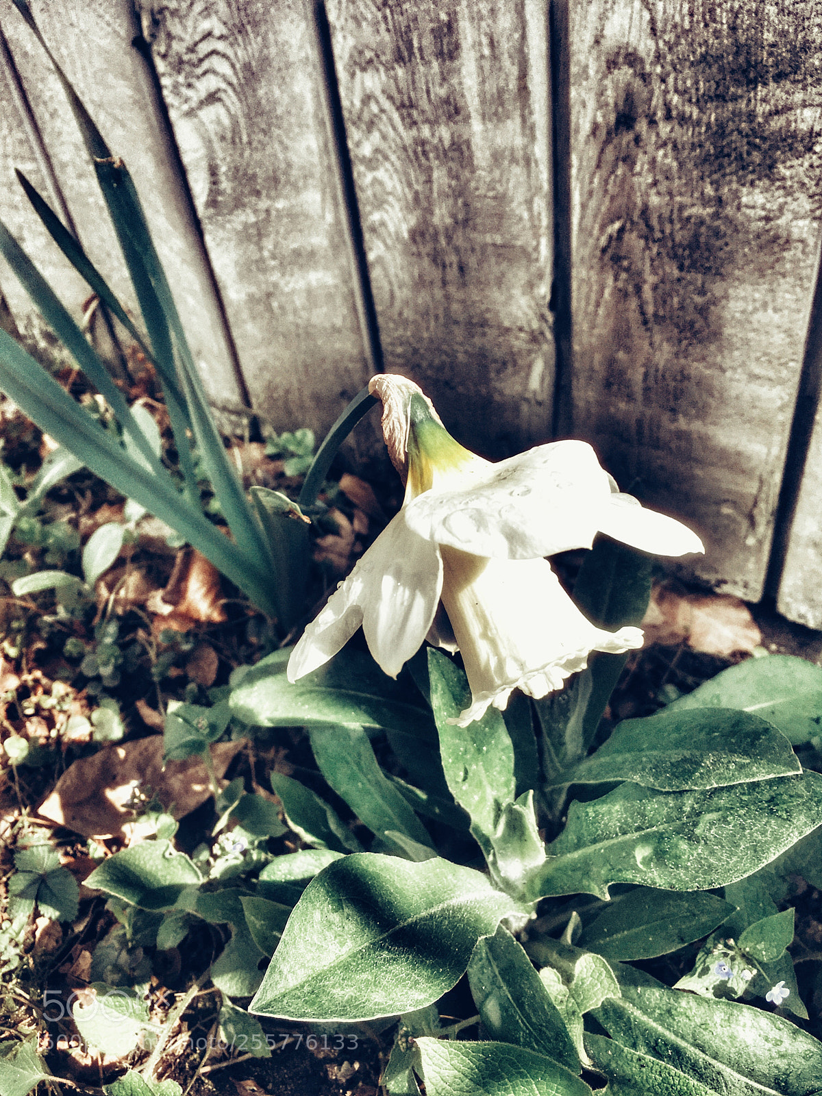 Apple iPhone SE sample photo. Untitled photography