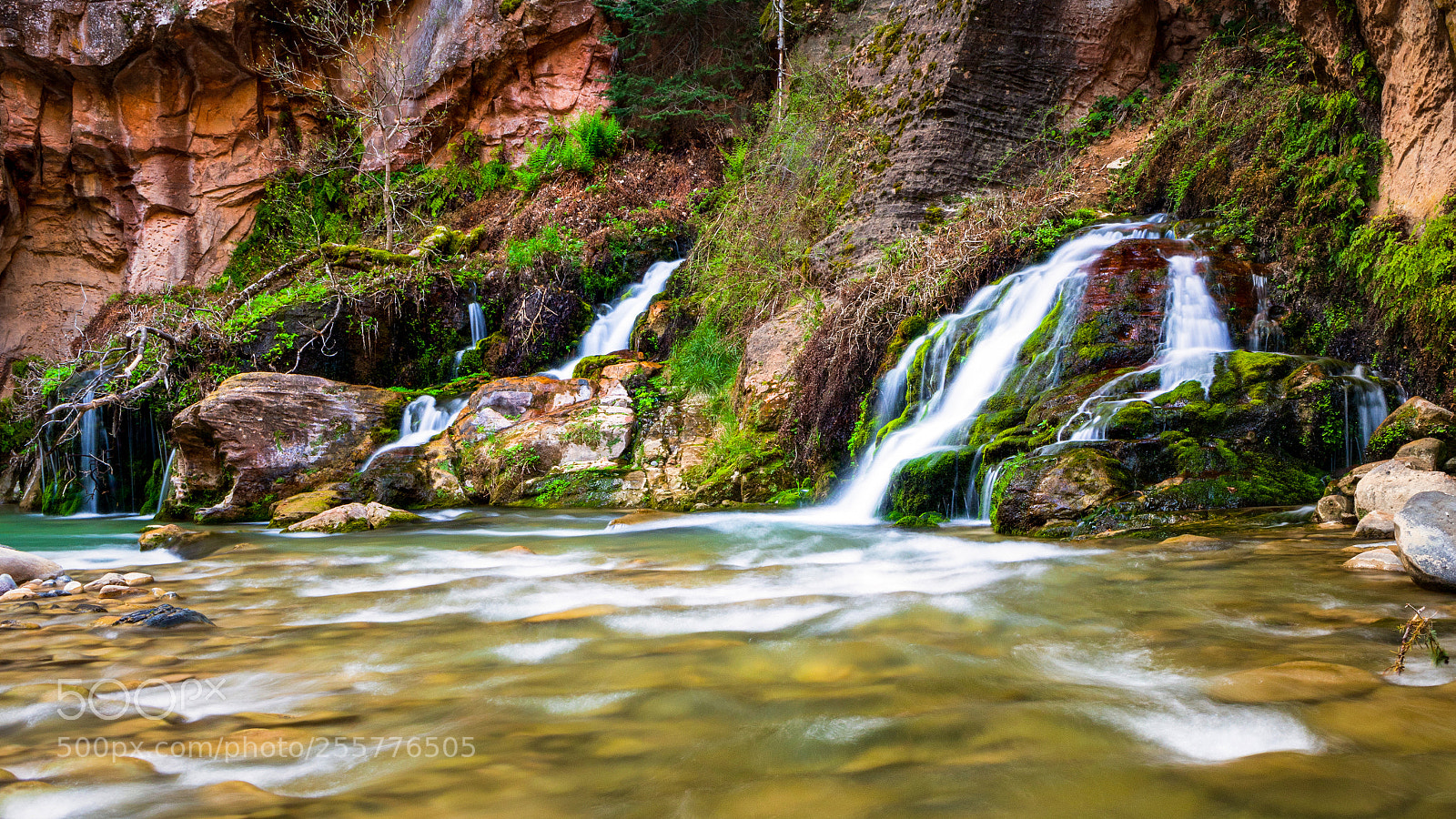 Olympus OM-D E-M5 sample photo. Zion national park, big photography