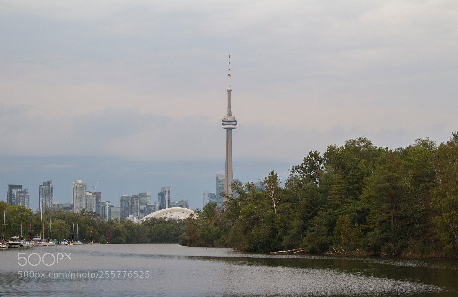 Canon EOS 100D (EOS Rebel SL1 / EOS Kiss X7) sample photo. Toronto photography