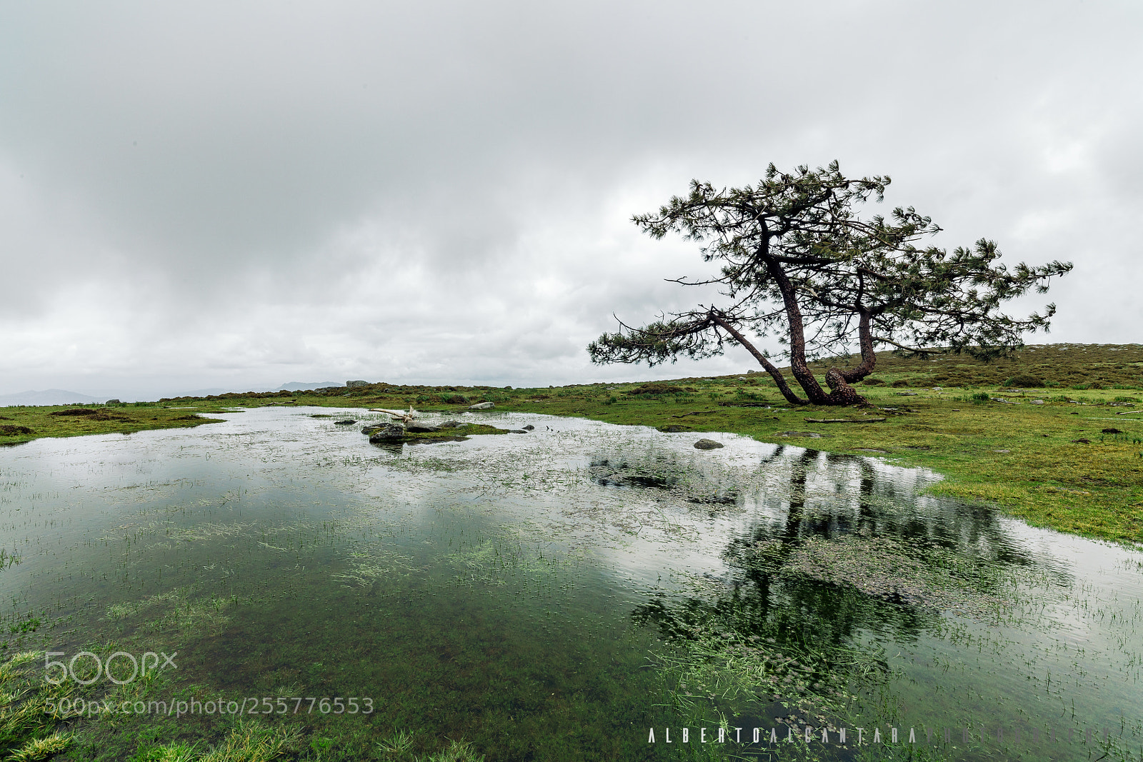 Canon EOS 5DS R sample photo. Serra da groba photography