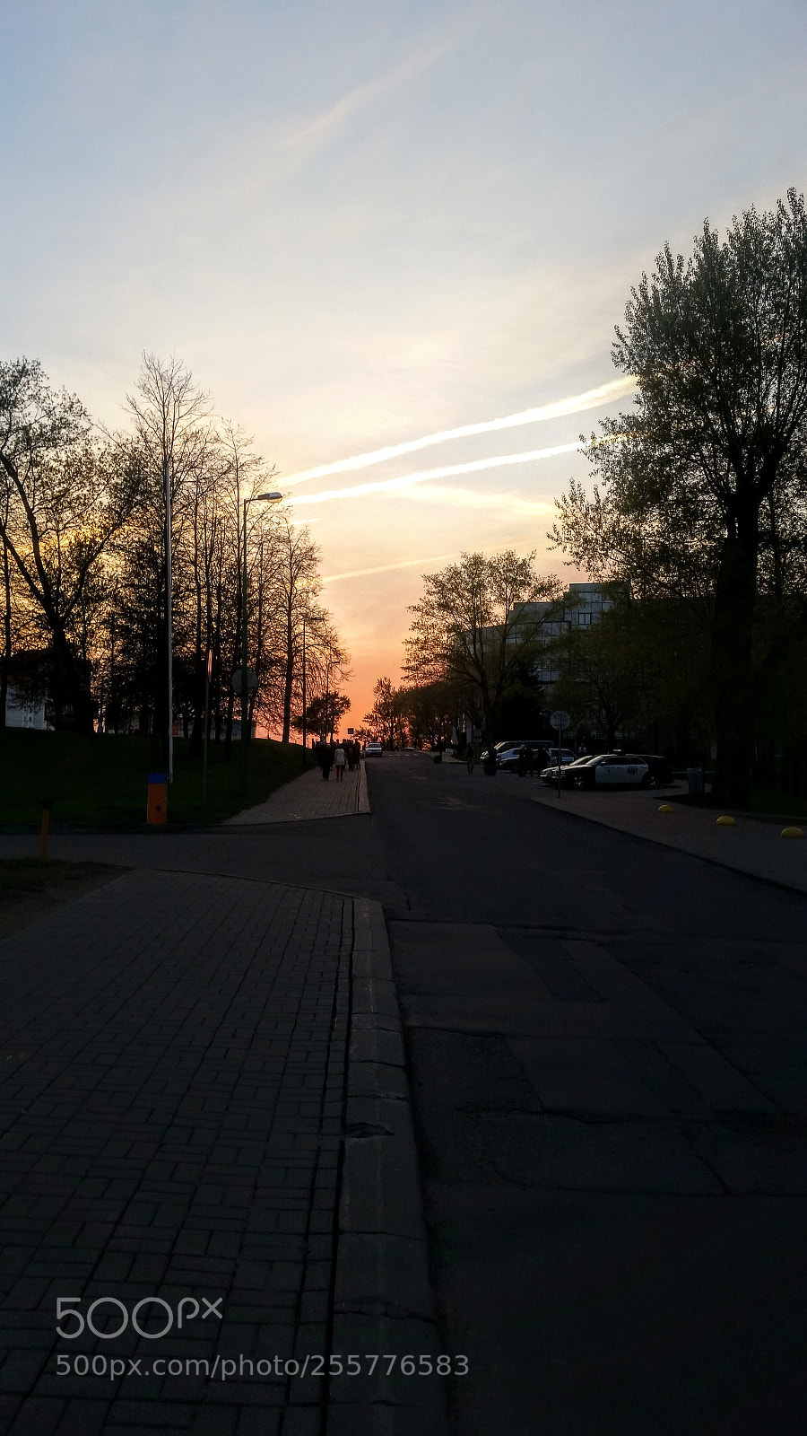 Samsung Galaxy S5 sample photo. Untitled photography