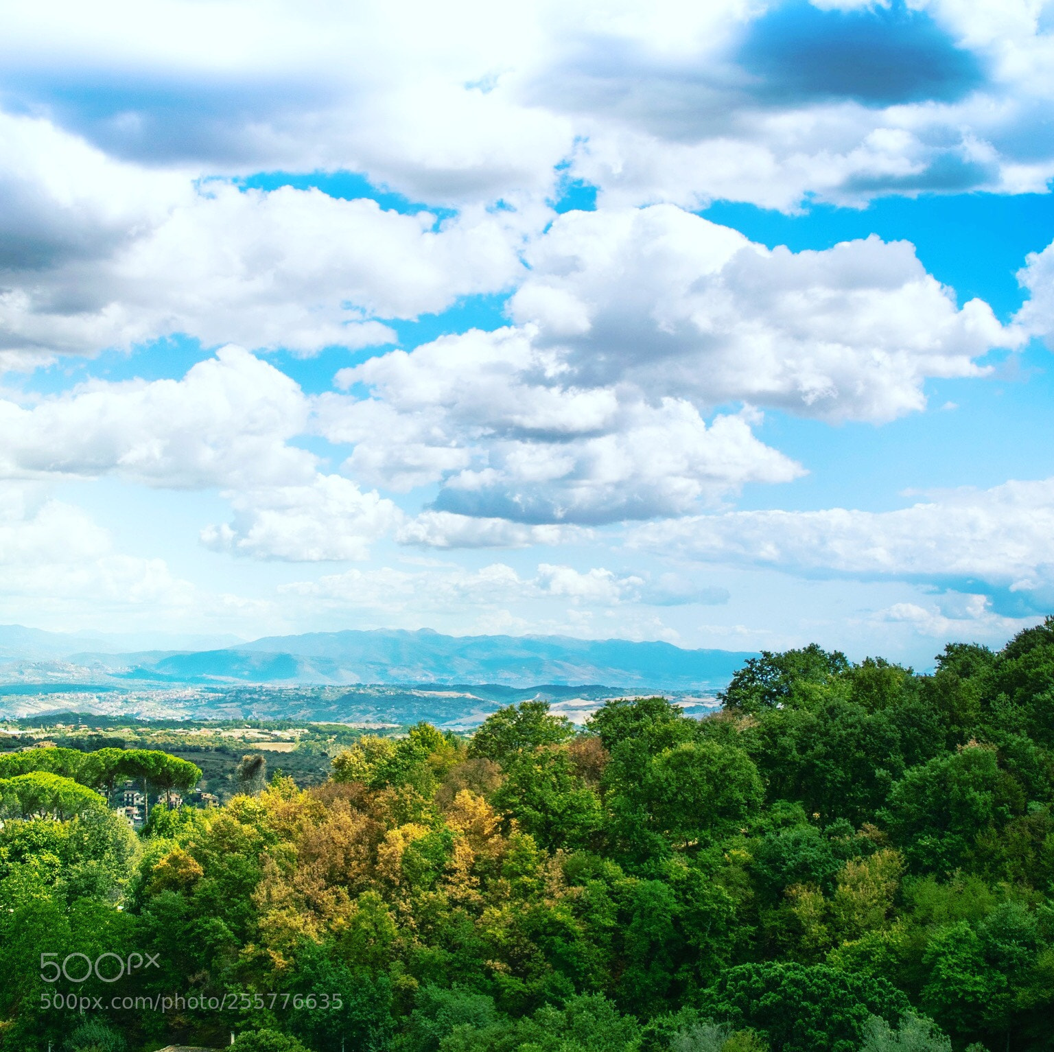 Nikon D3300 sample photo. Nature photography