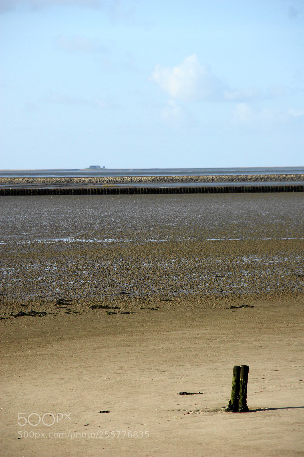 Sony Alpha DSLR-A350 sample photo. Hallig im watt photography