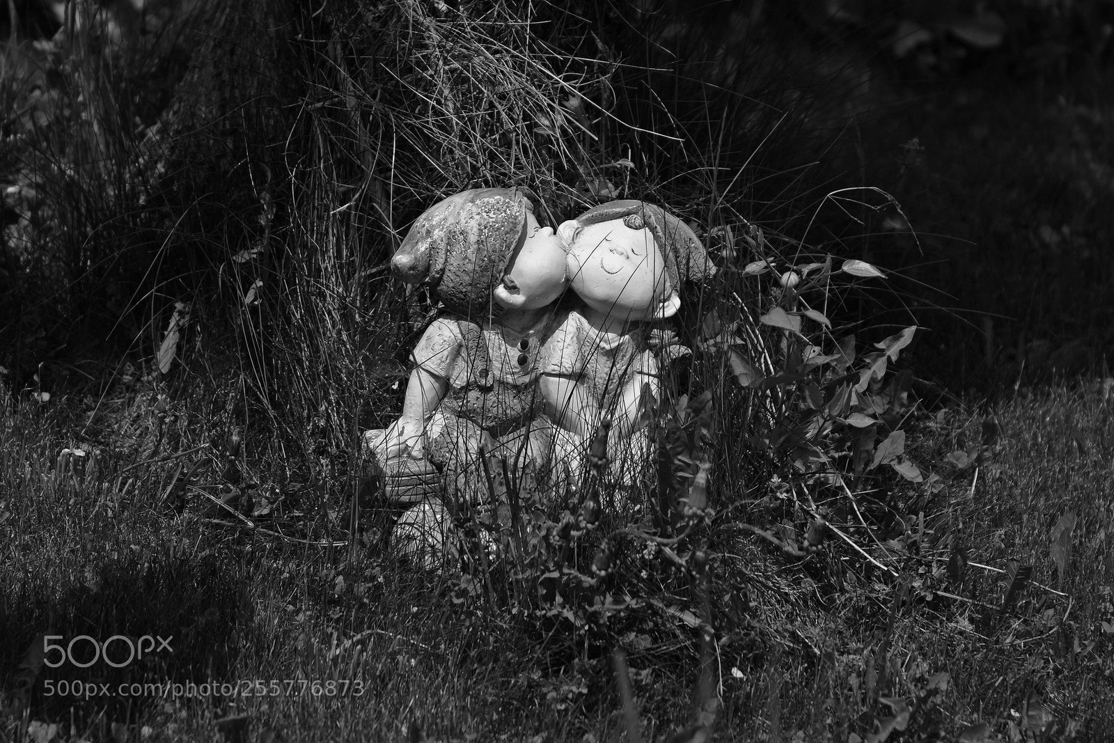 Nikon D7100 sample photo. Love is.... photography