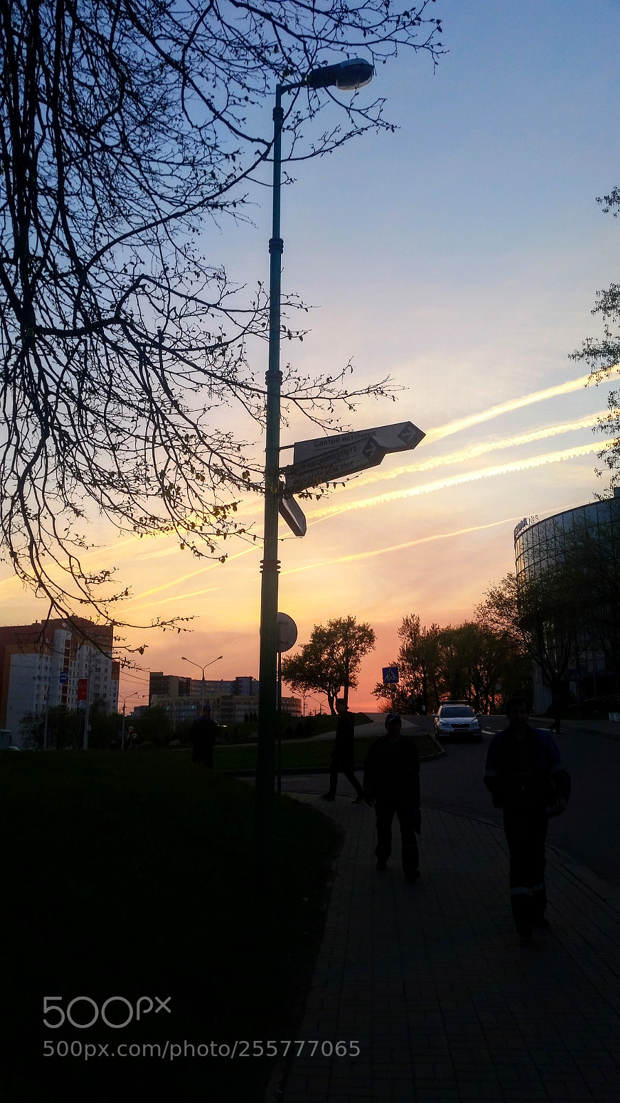 Samsung Galaxy S5 sample photo. Untitled photography