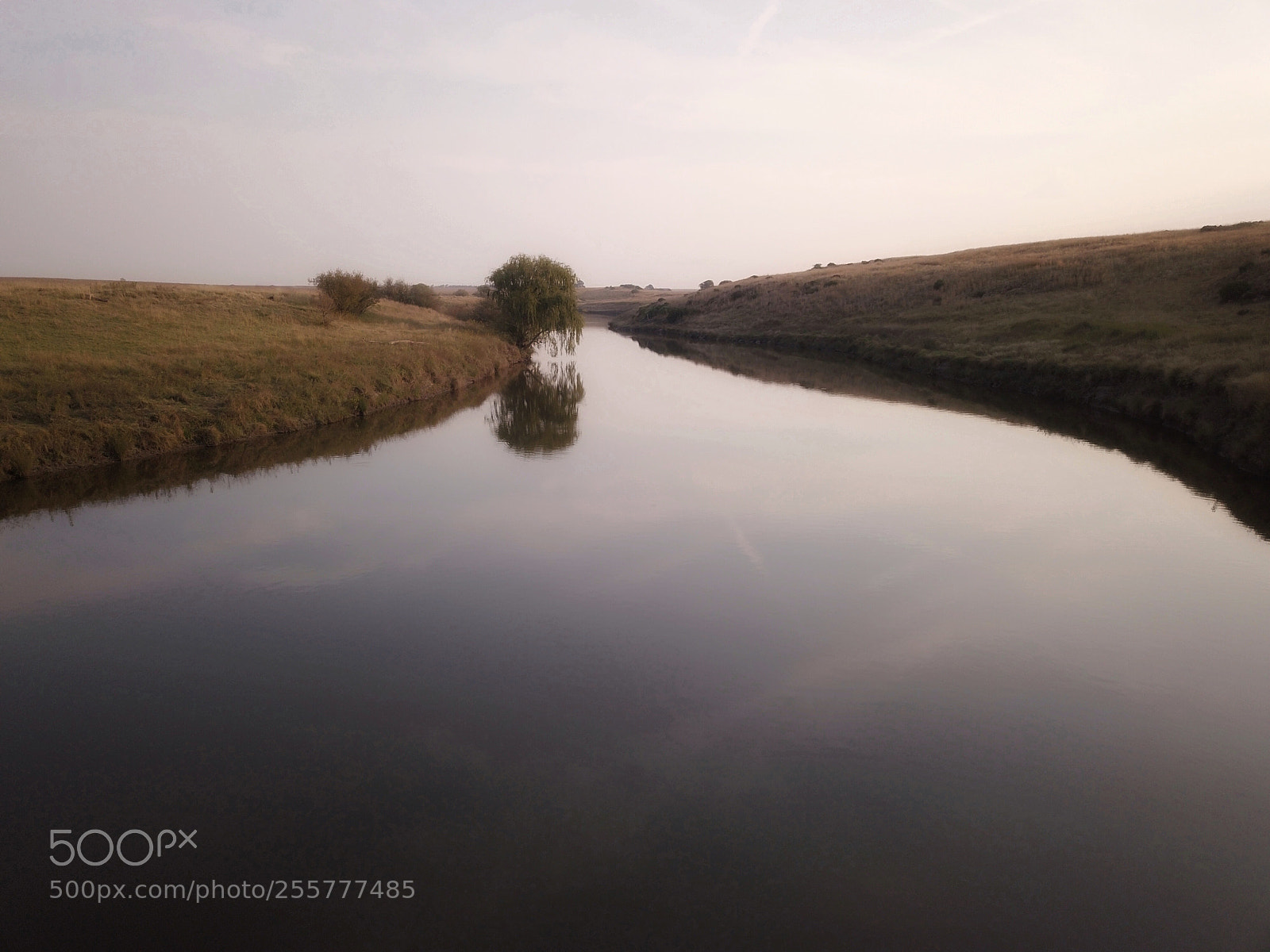 DJI FC220 sample photo. Mirror tree photography