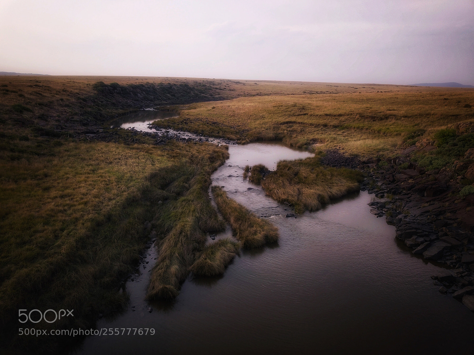 DJI FC220 sample photo. 1st photography