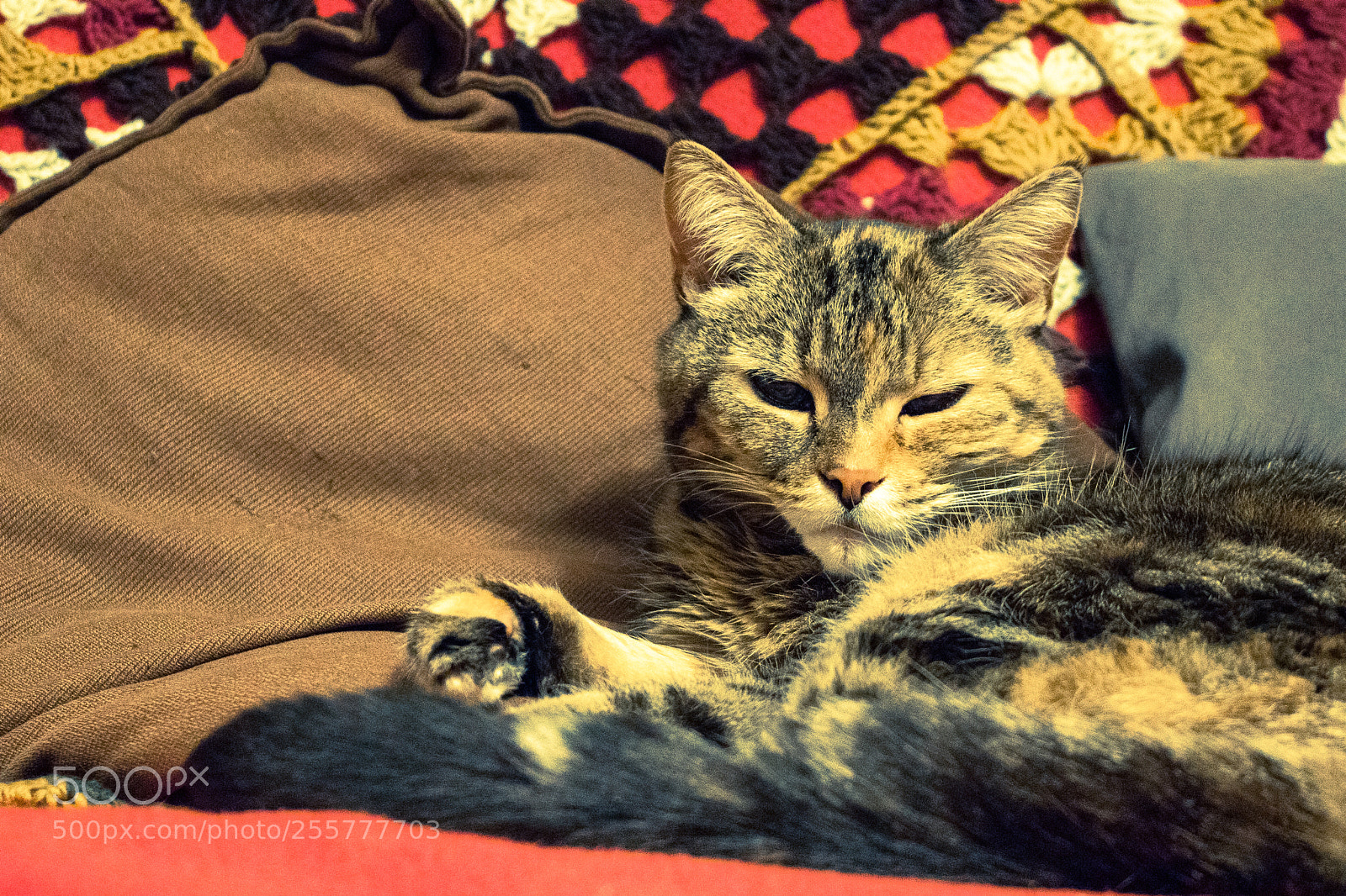 Canon EOS 750D (EOS Rebel T6i / EOS Kiss X8i) sample photo. . busca photography