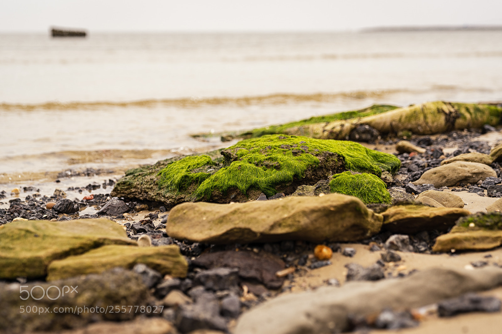 Sony a7 III sample photo. Borkum beach photography