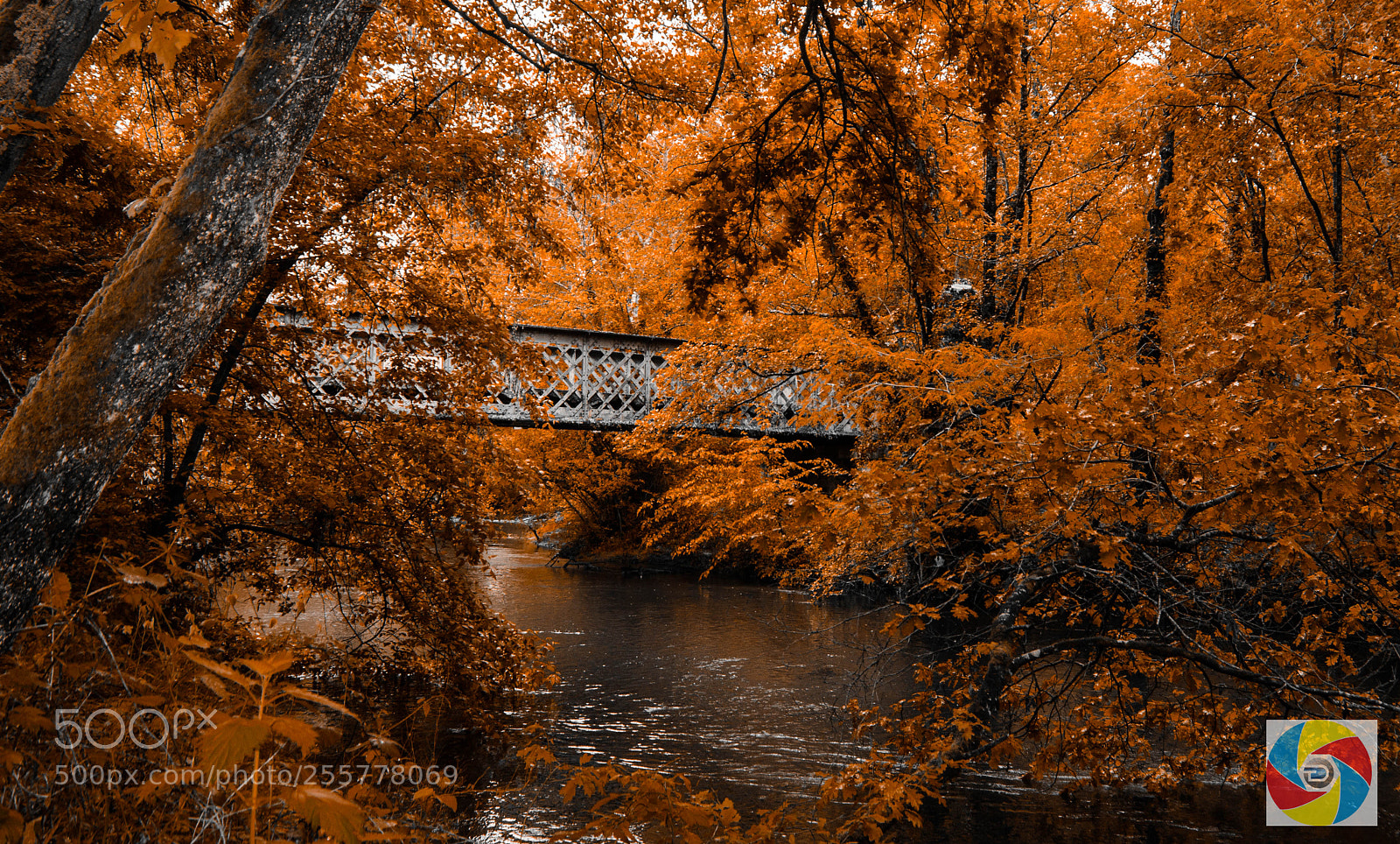 Nikon D5100 sample photo. Pont du ciron photography