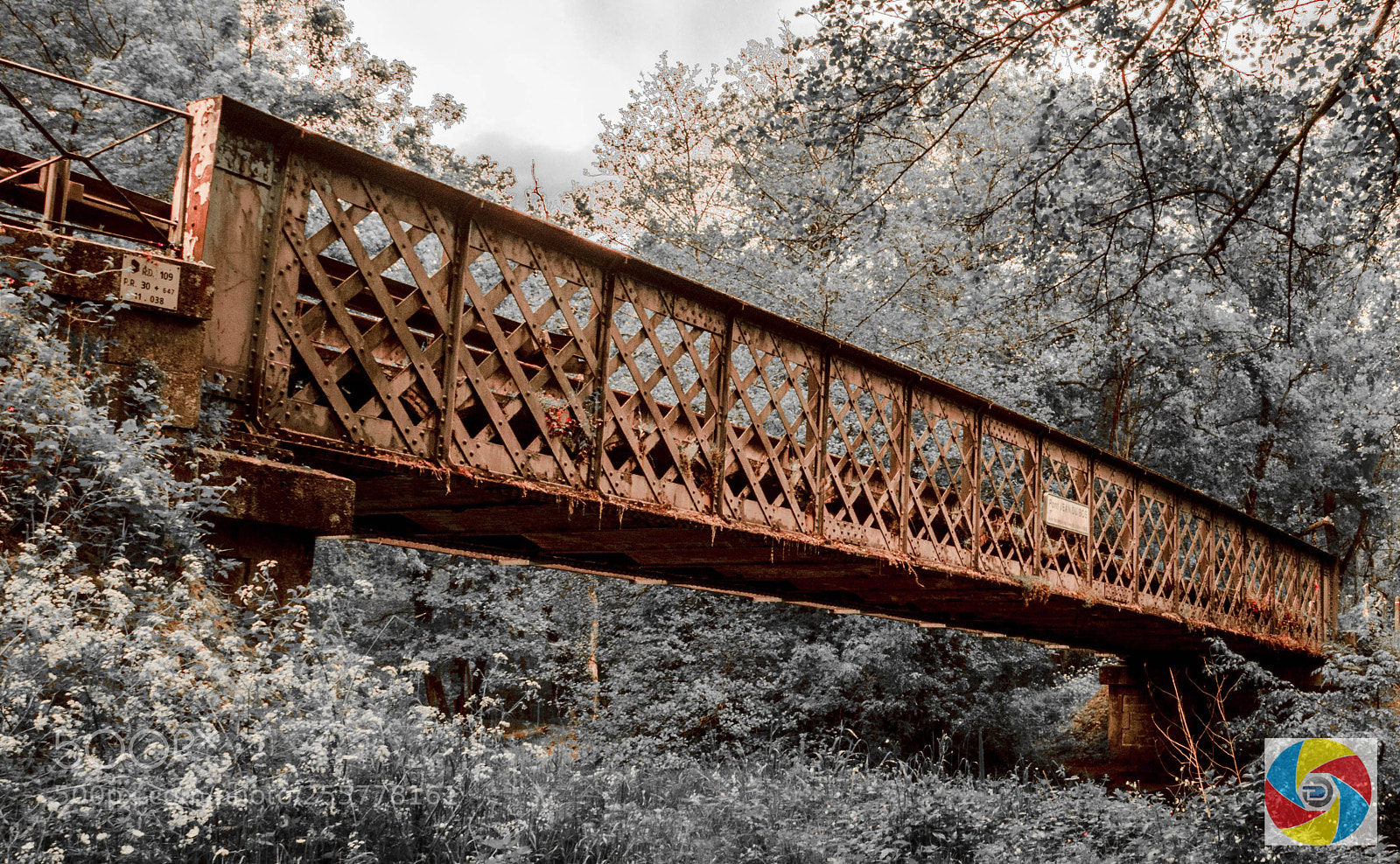Nikon D5100 sample photo. Pont du ciron photography