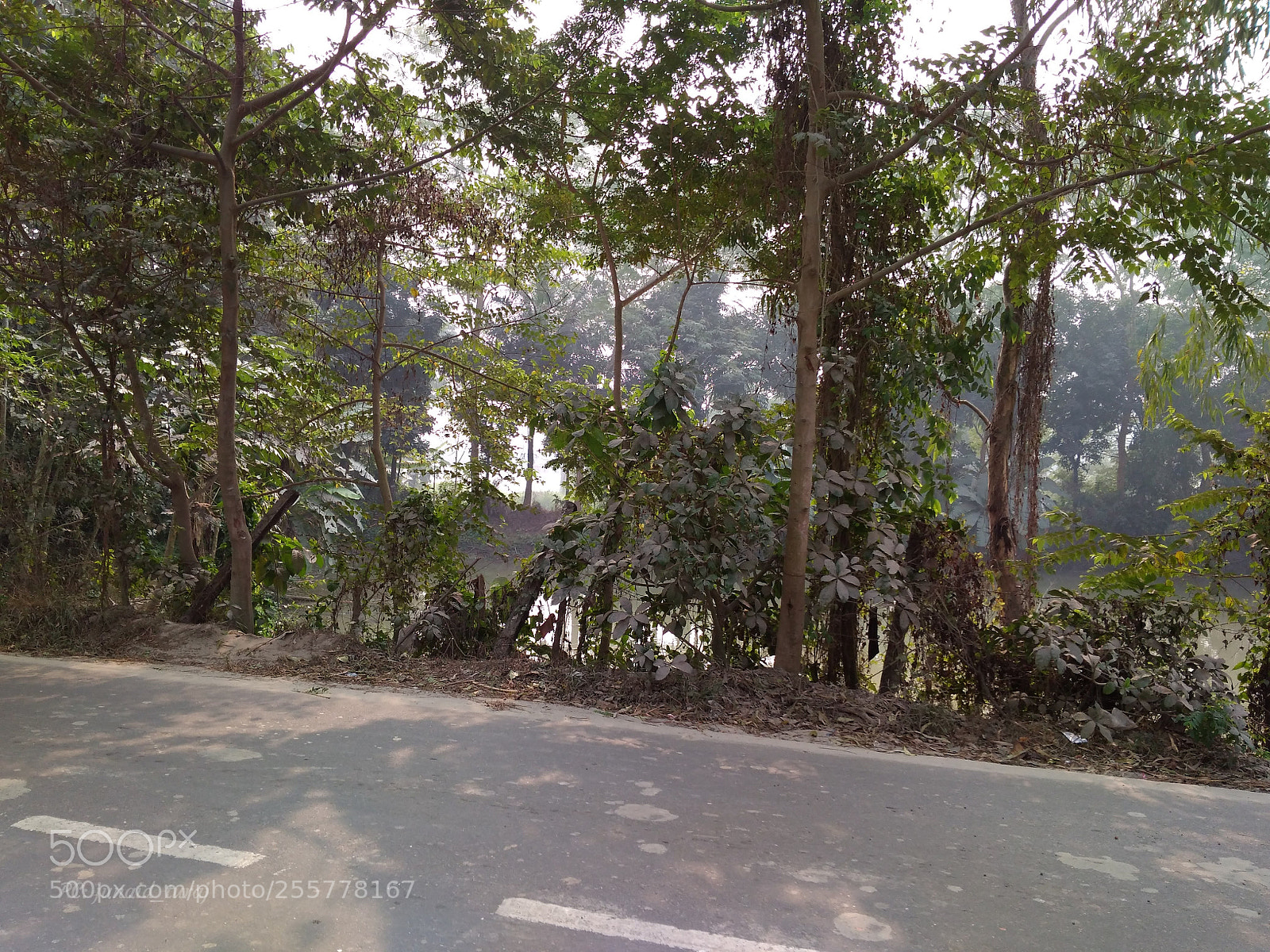 Xiaomi Redmi 4A sample photo. Riverside photography