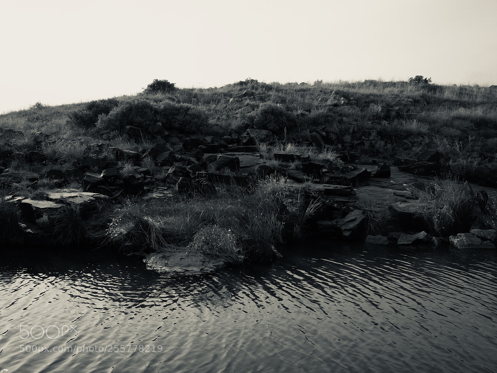 DJI FC220 sample photo. Black water photography