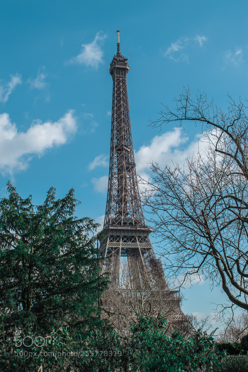 Nikon D3300 sample photo. Tour eiffel photography