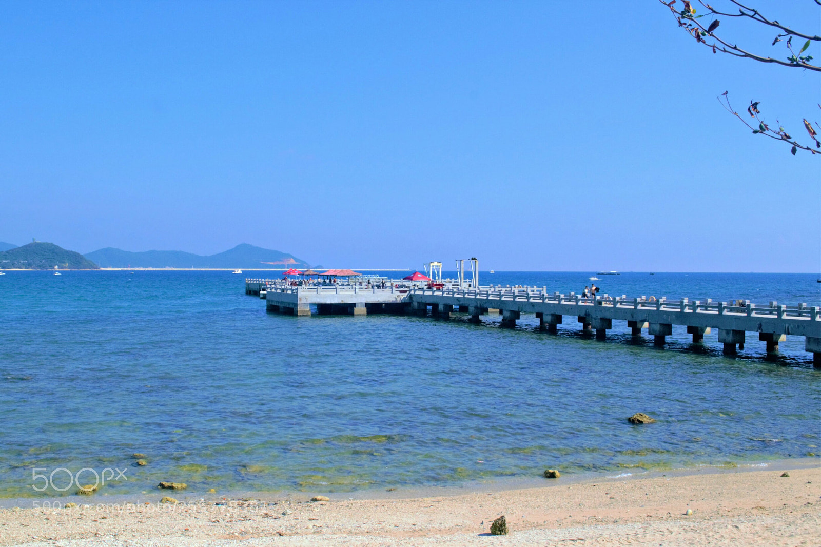 Nikon D3100 sample photo. Untitled photography