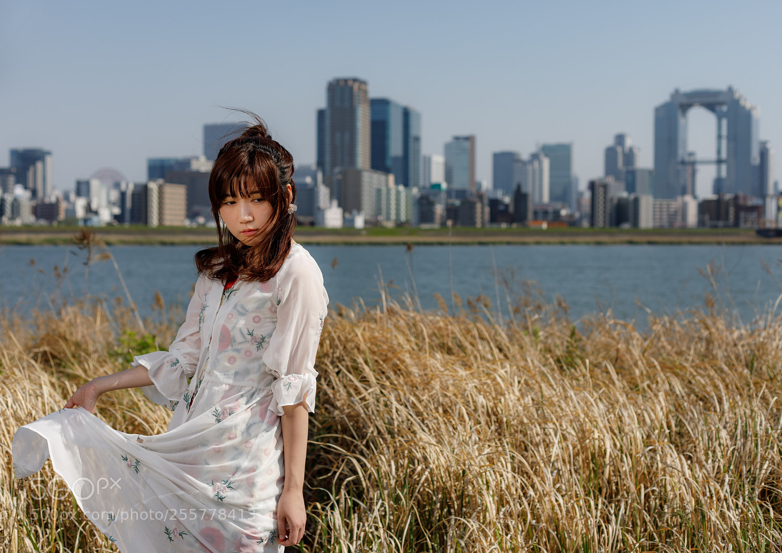 Canon EOS 5D Mark IV sample photo. Osaka river side photography