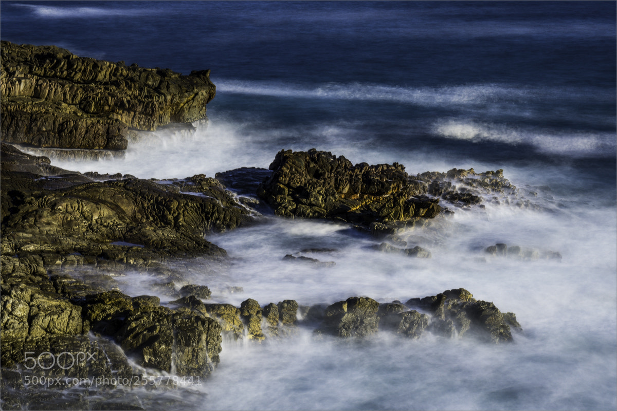 Sony a6000 sample photo. Impressions of hermanus i photography