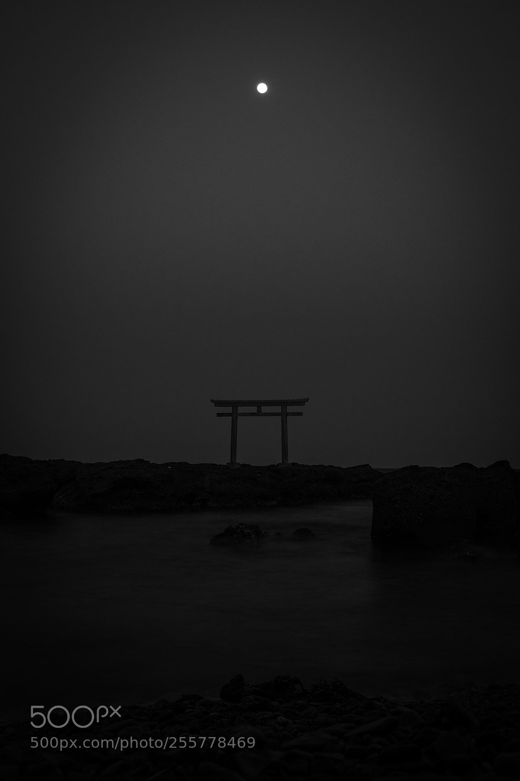 Olympus OM-D E-M1 Mark II sample photo. 月下 photography