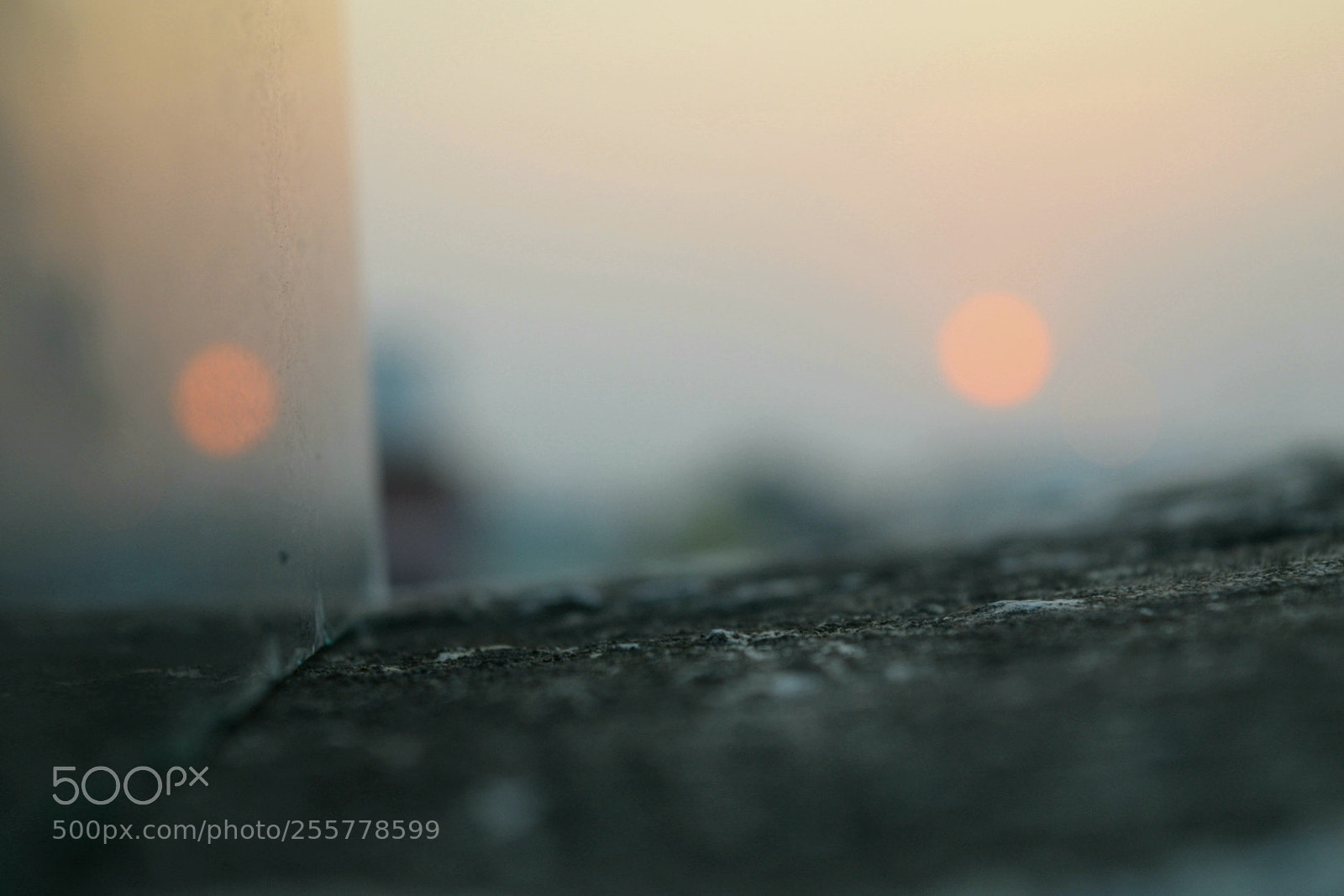 Nikon D5300 sample photo. Untitled photography