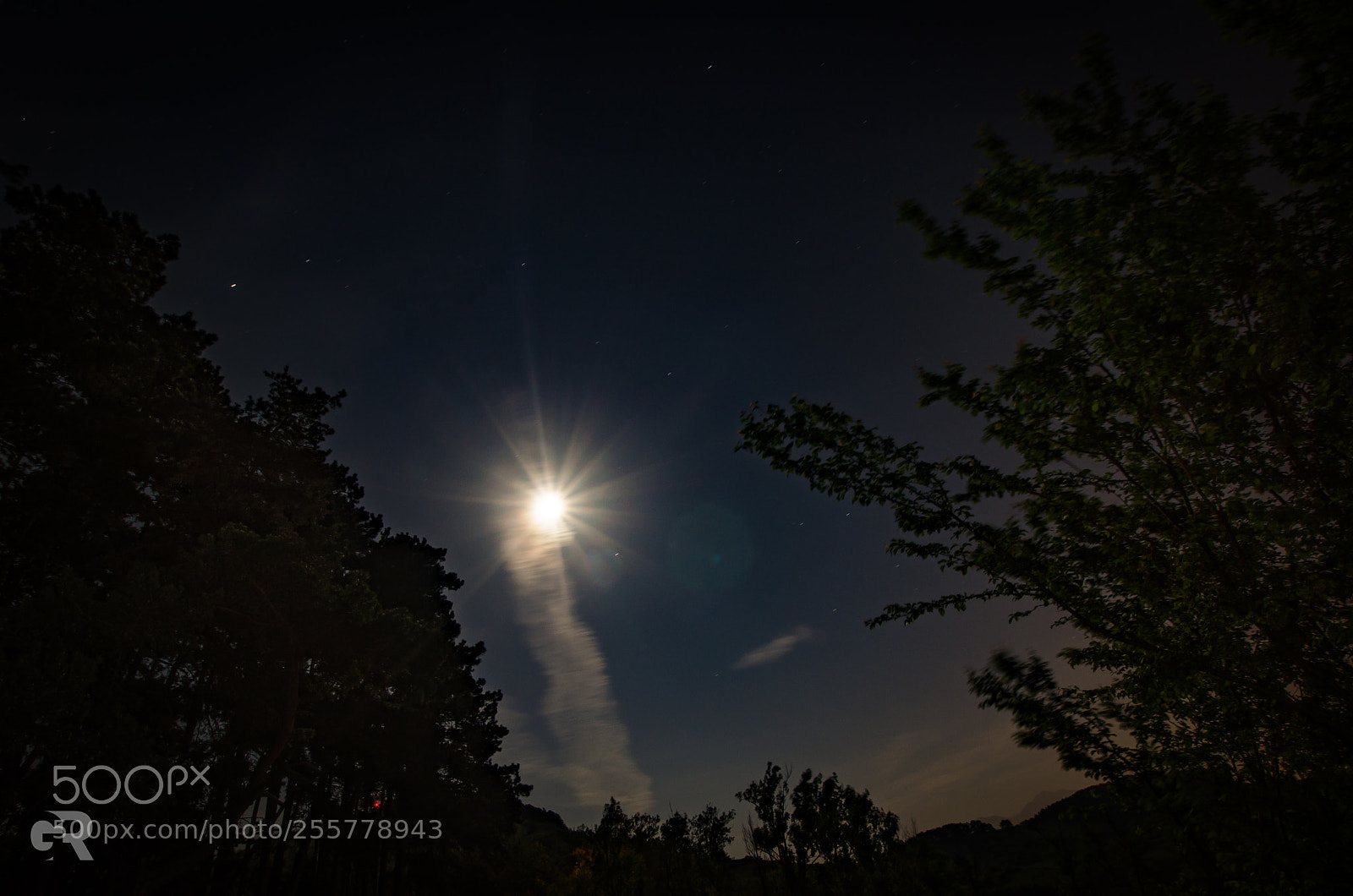 Nikon D7000 sample photo. Full moon, full light photography