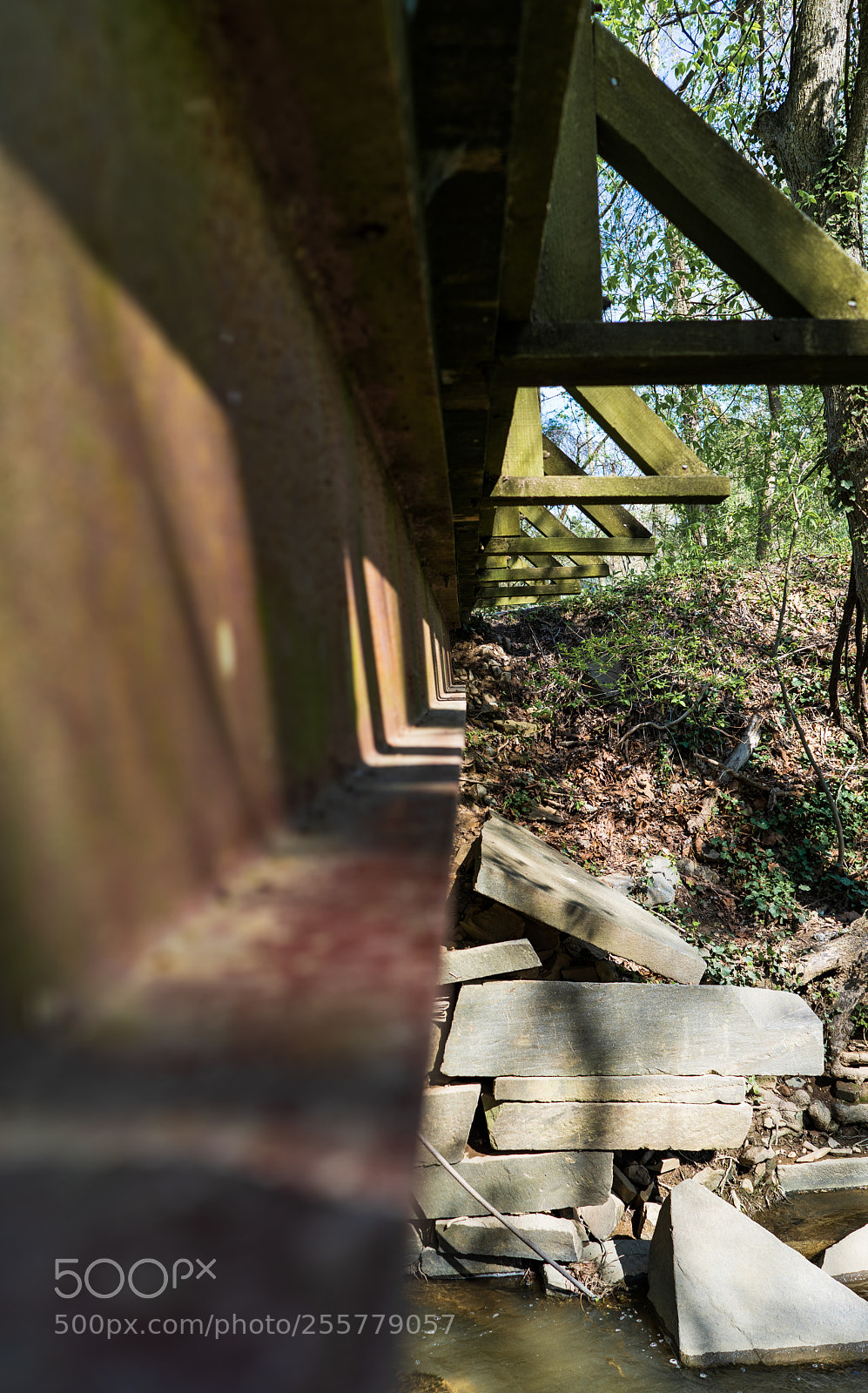 Sony a7 III sample photo. Underside photography