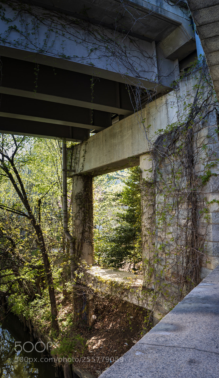 Sony a7 III sample photo. Underpass photography