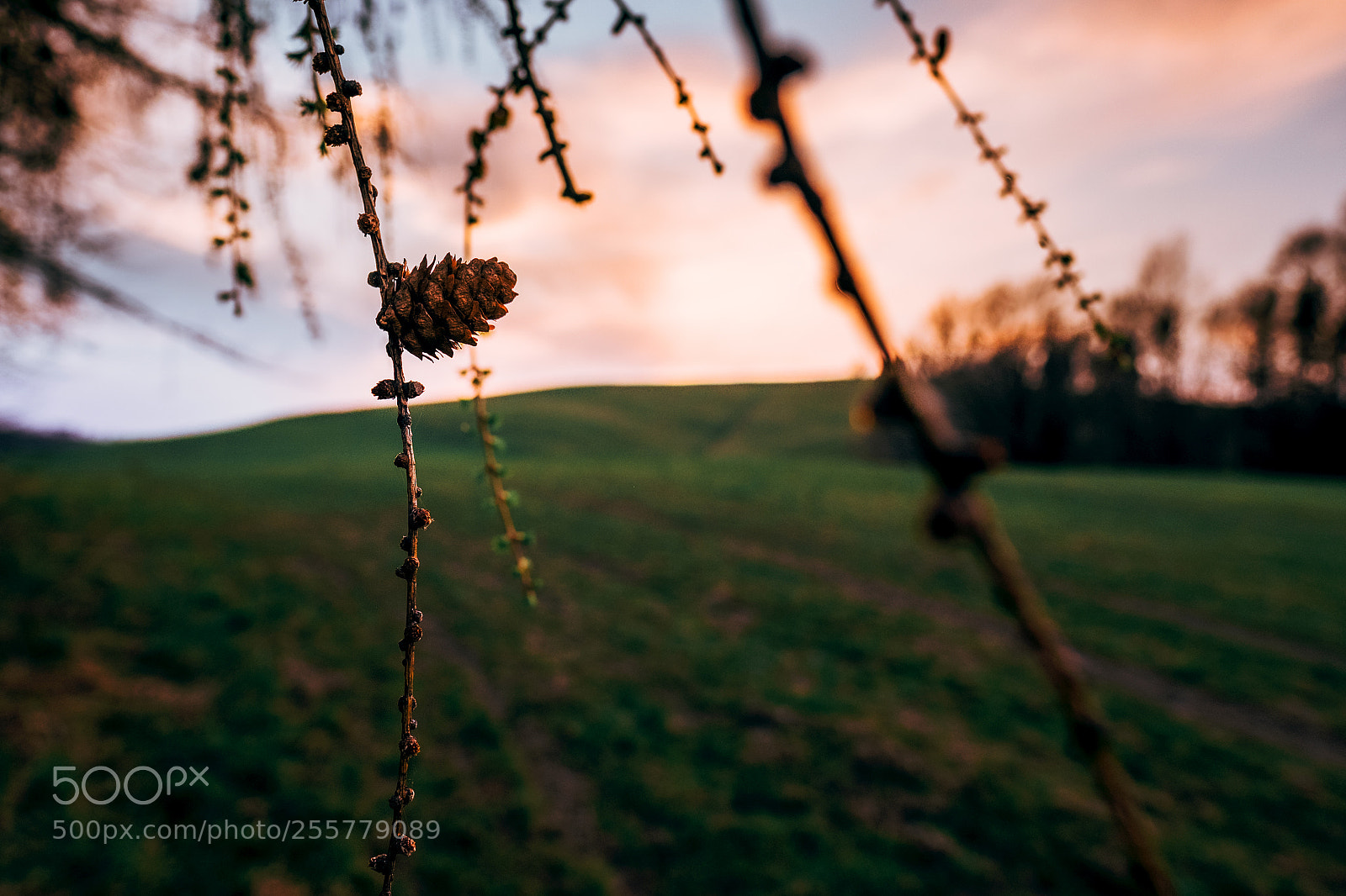 Fujifilm X-T1 sample photo. * photography