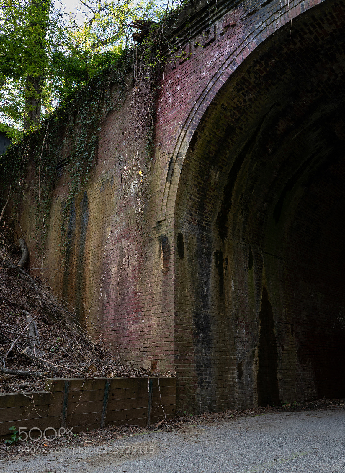 Sony a7 III sample photo. Tunnel photography