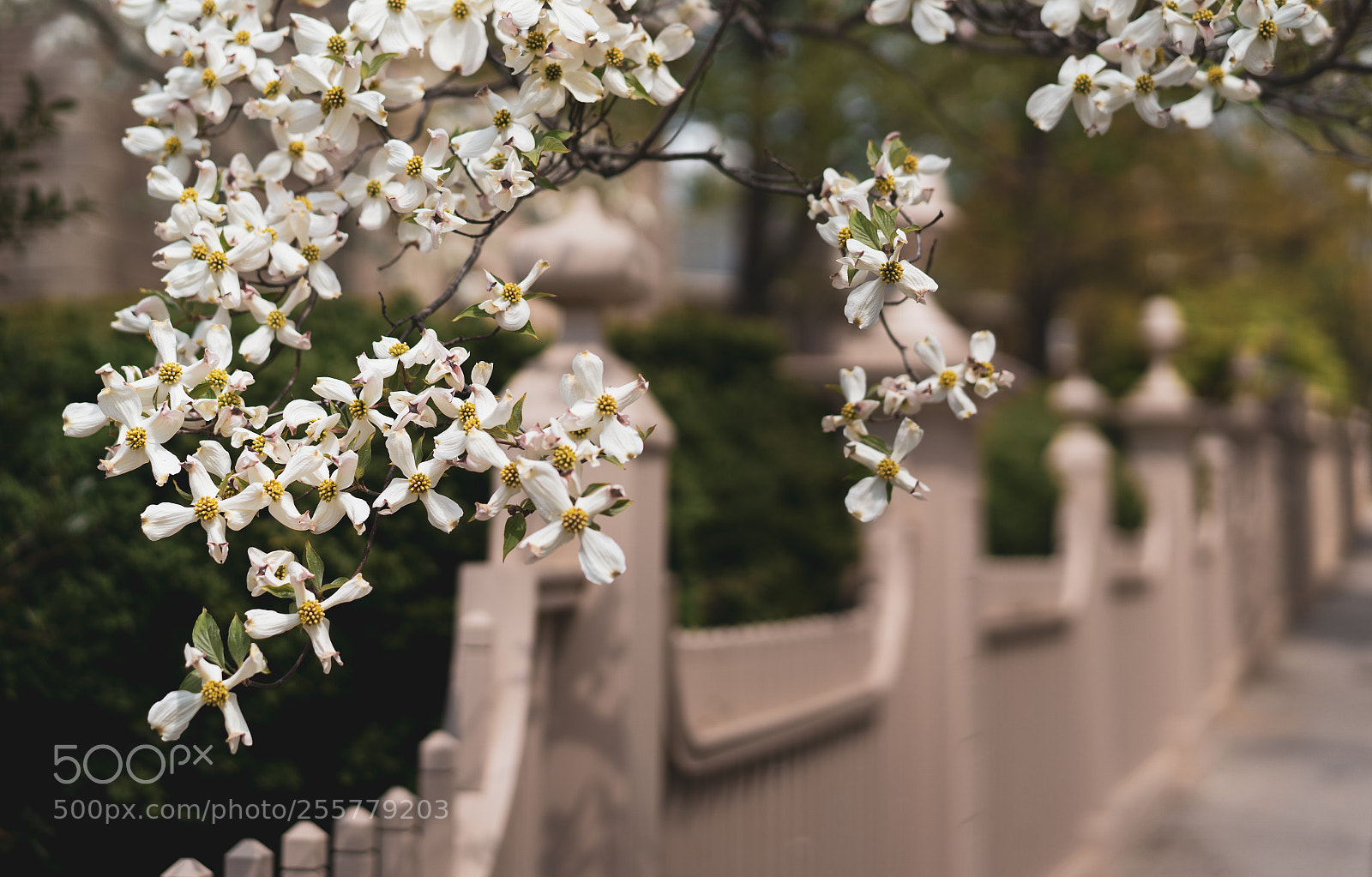 Sony a7 III sample photo. Floating photography