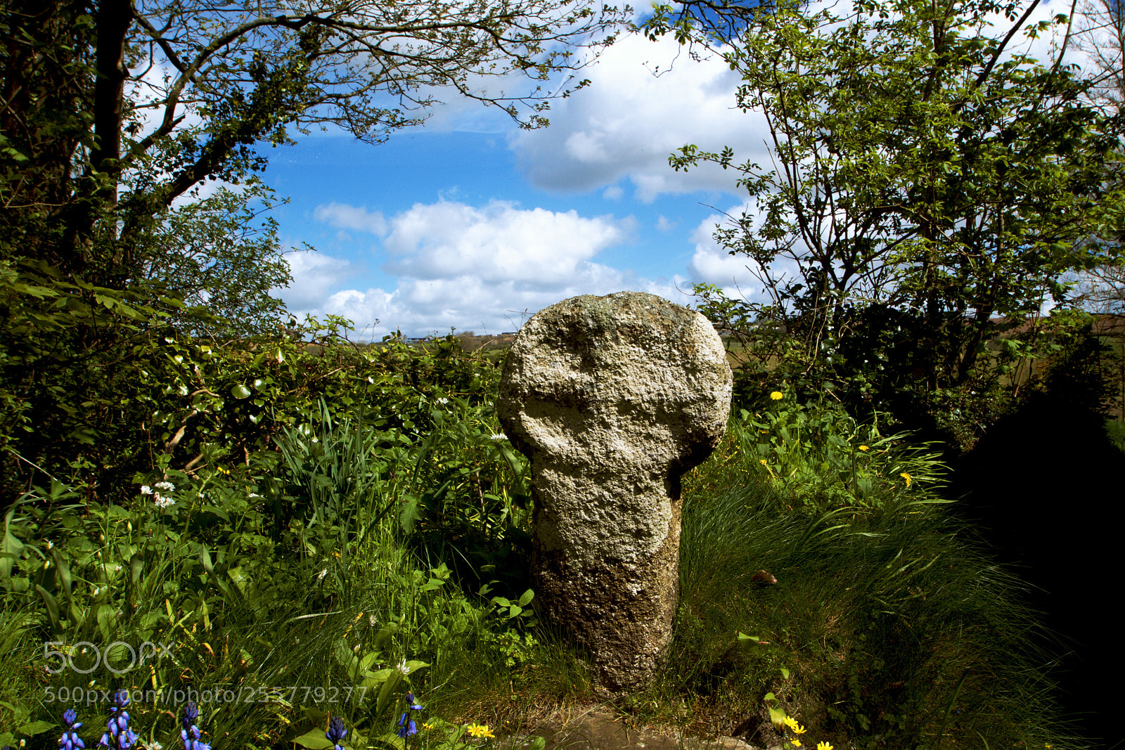 Nikon D3300 sample photo. An ancient cornish cross photography