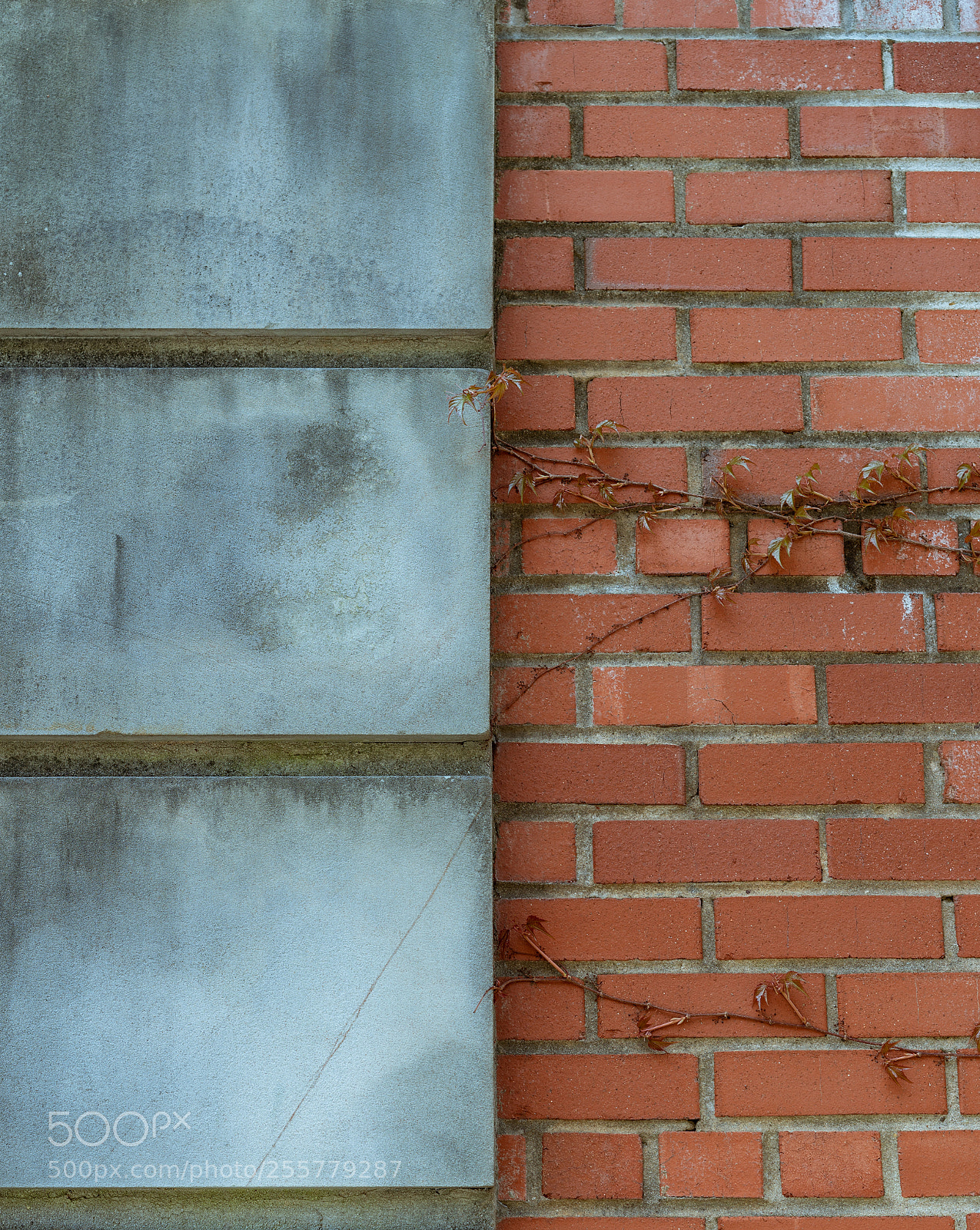 Sony a7 III sample photo. Reaching photography