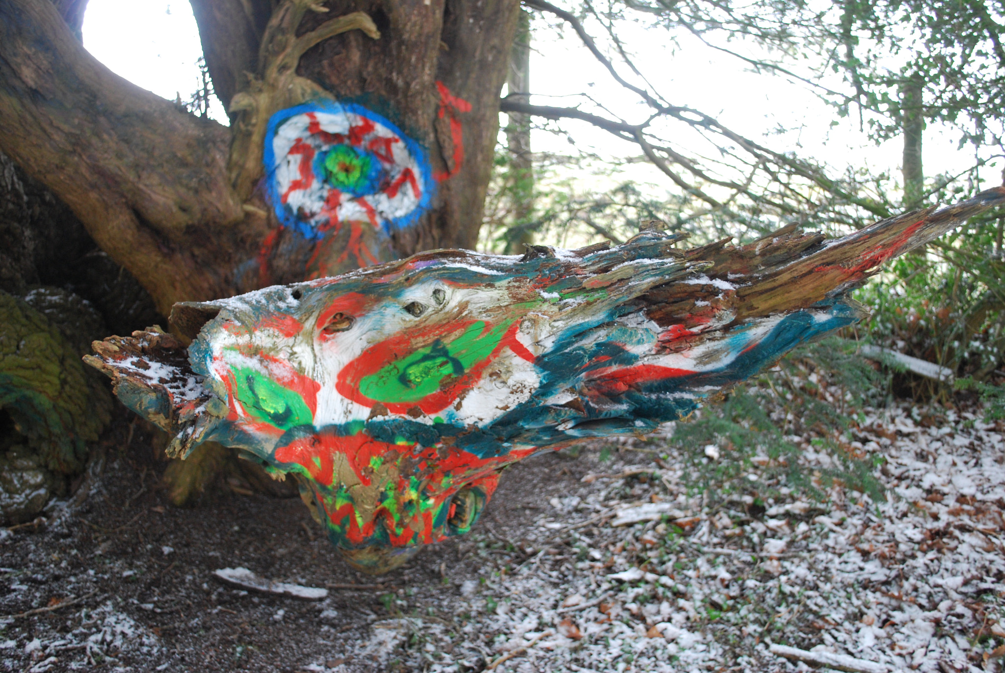 Nikon D60 sample photo. Hippy tree photography