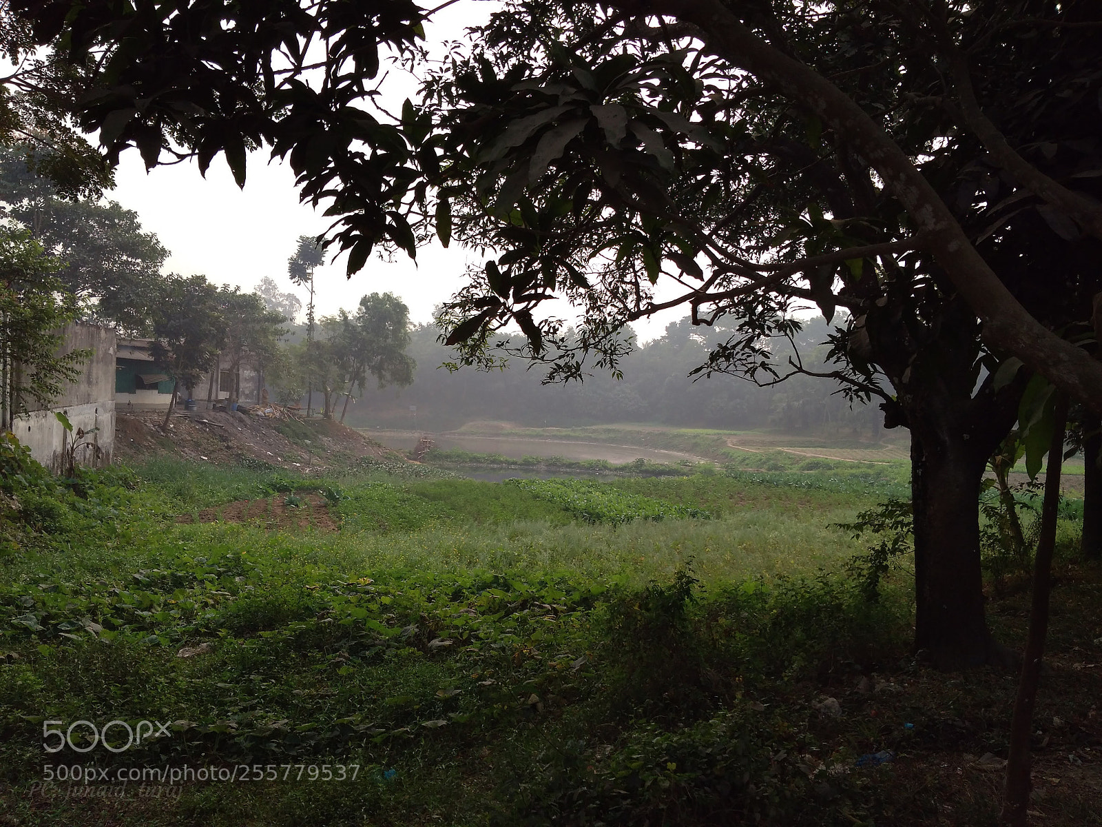 Xiaomi Redmi 4A sample photo. Riverside 3 photography