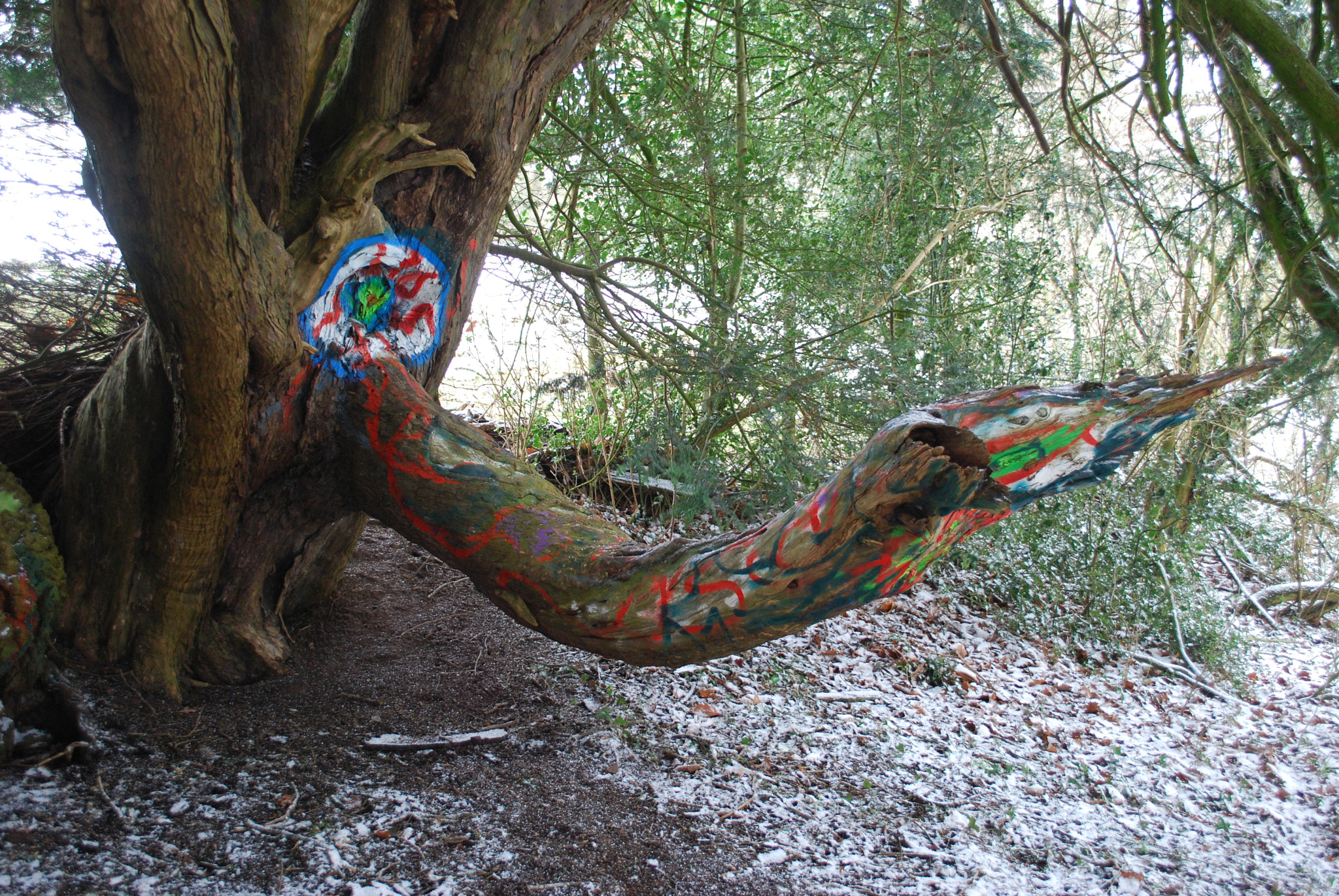 Nikon D60 sample photo. Trunk colours photography