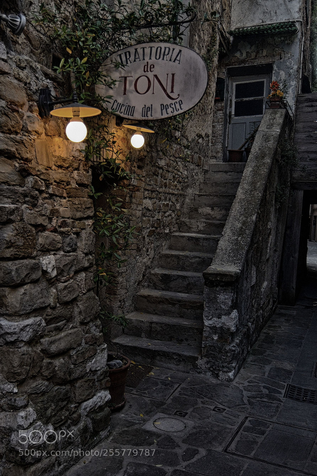 Nikon D7000 sample photo. Night light photography