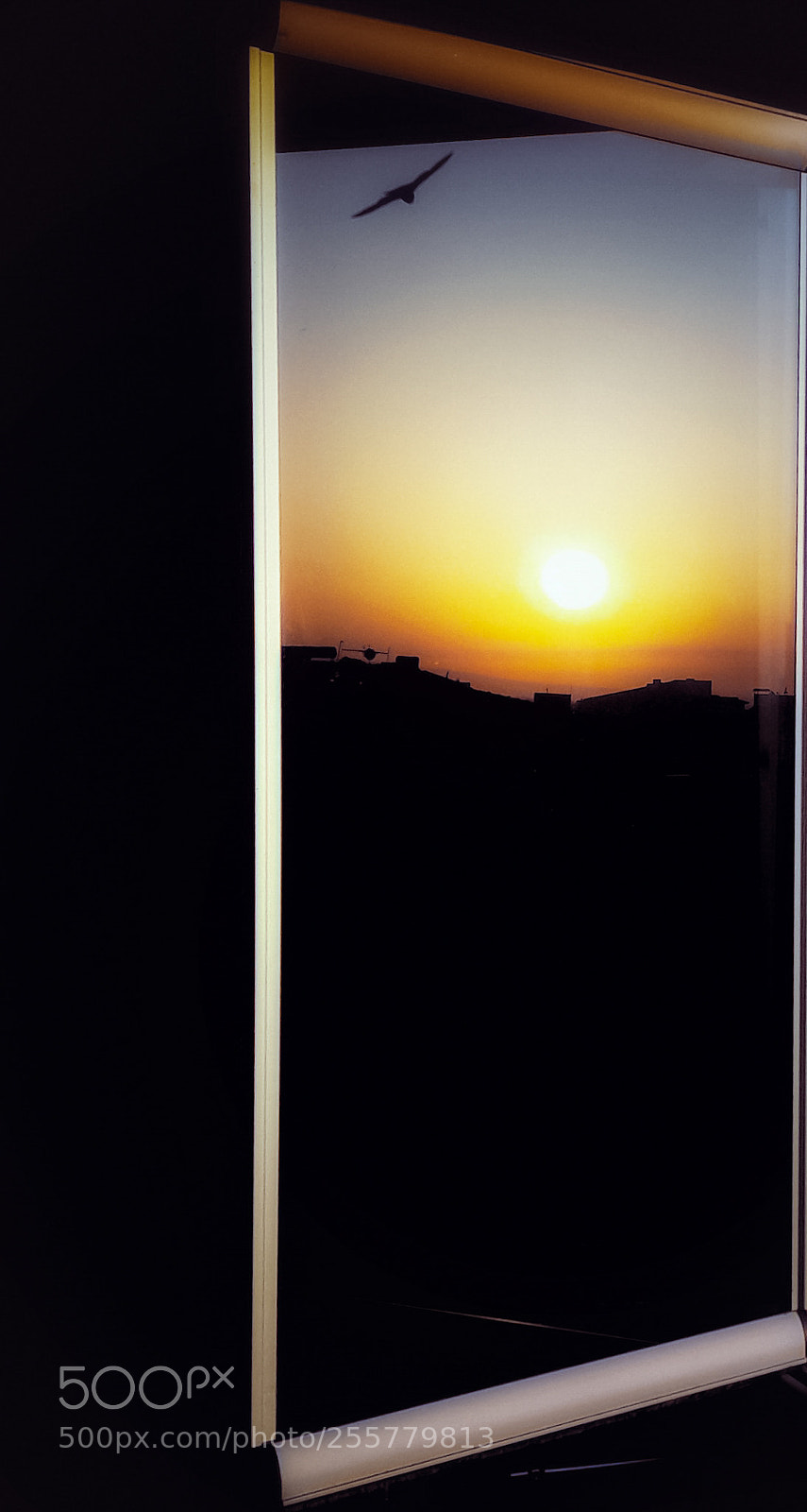Samsung Galaxy A5(2016) sample photo. Untitled photography