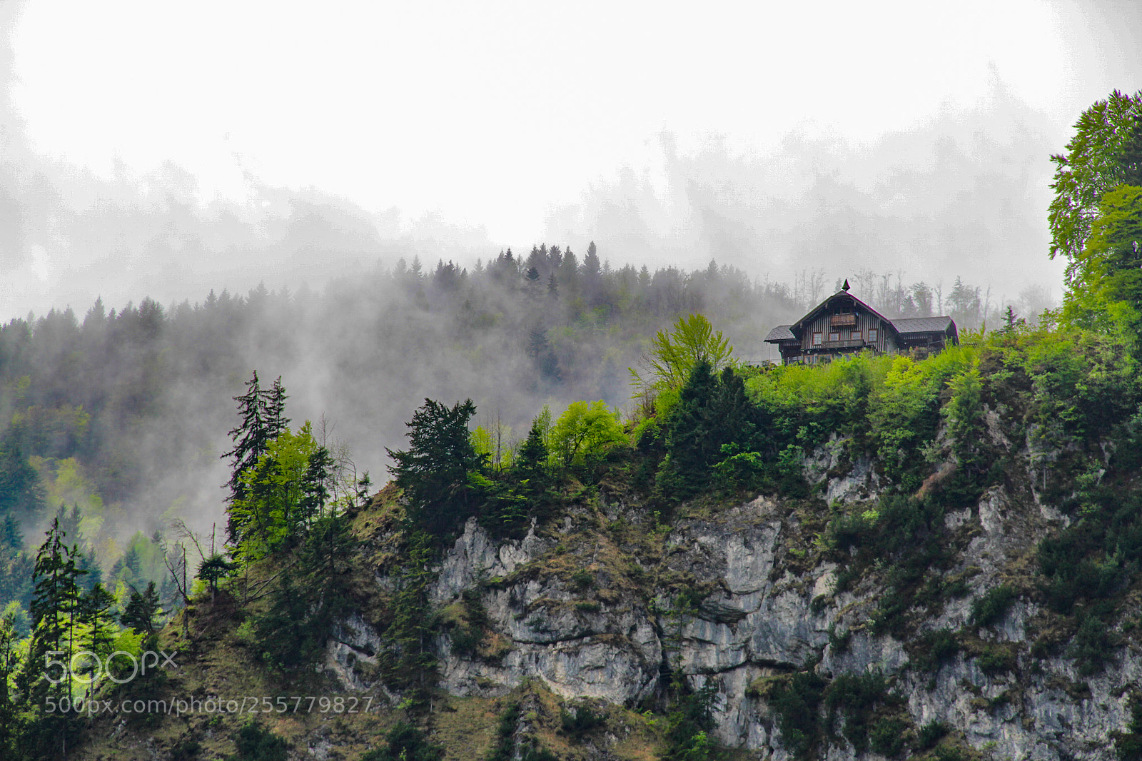 Canon EOS 7D sample photo. House on top of photography